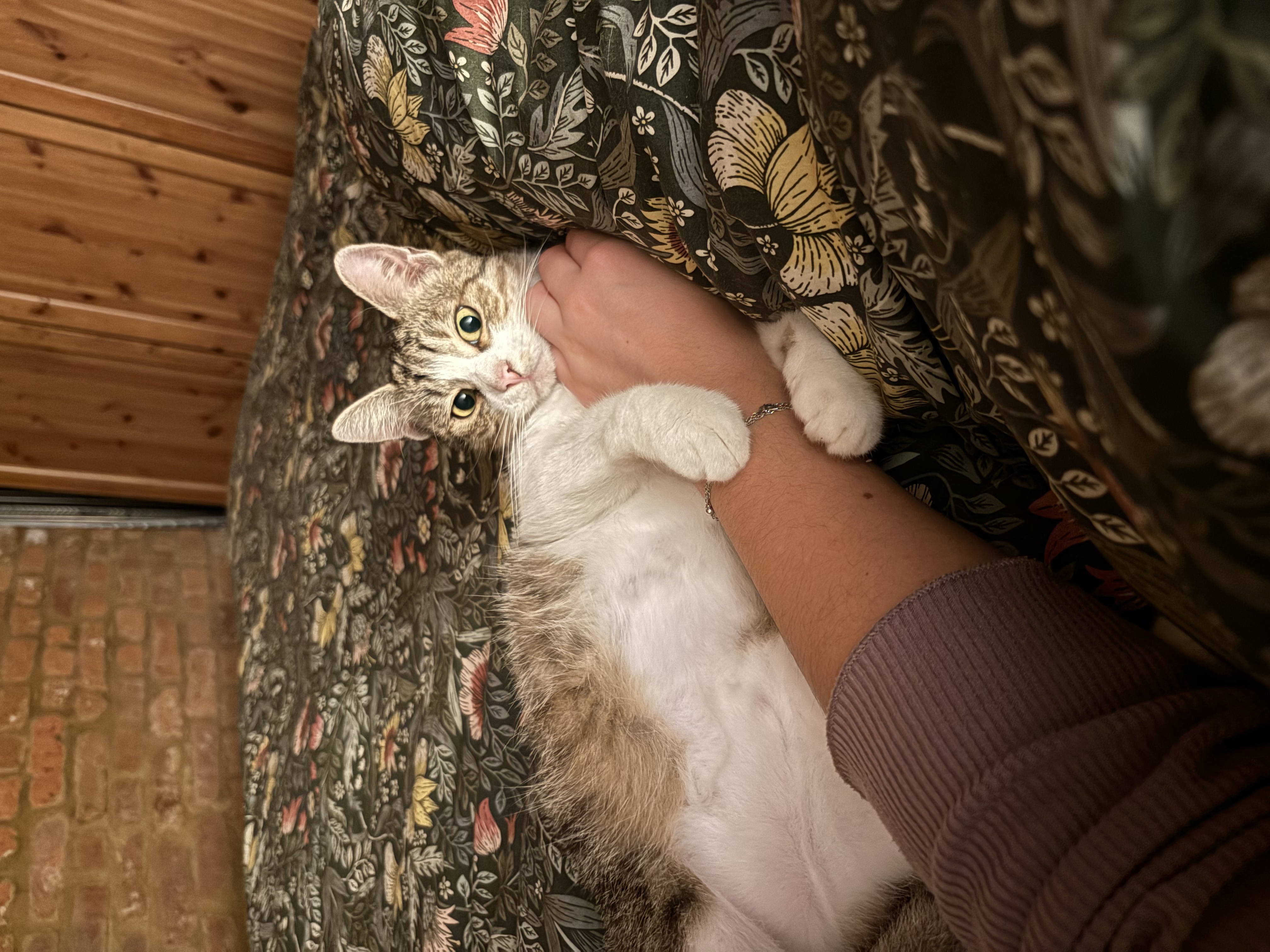 image-7