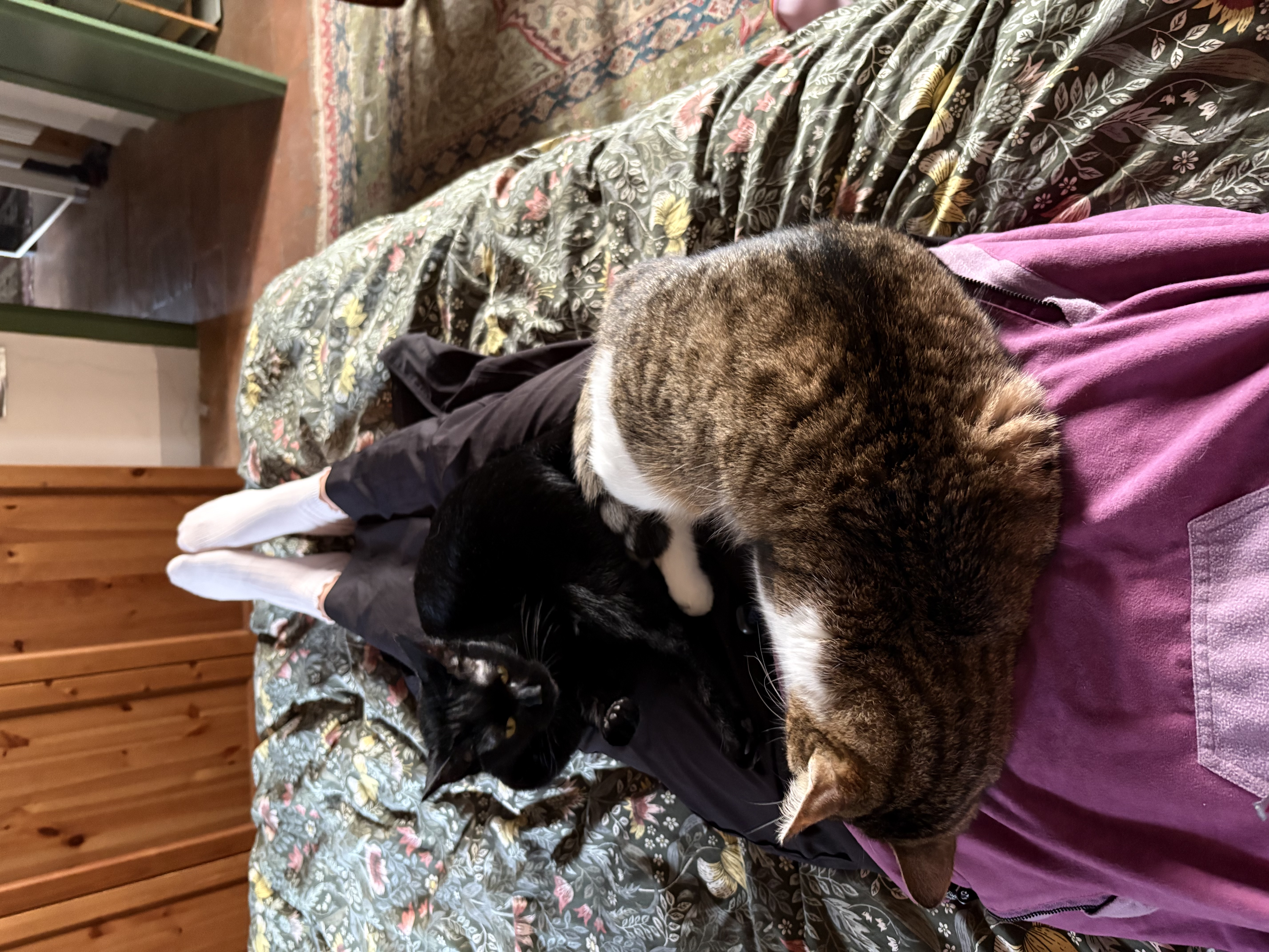 image-11