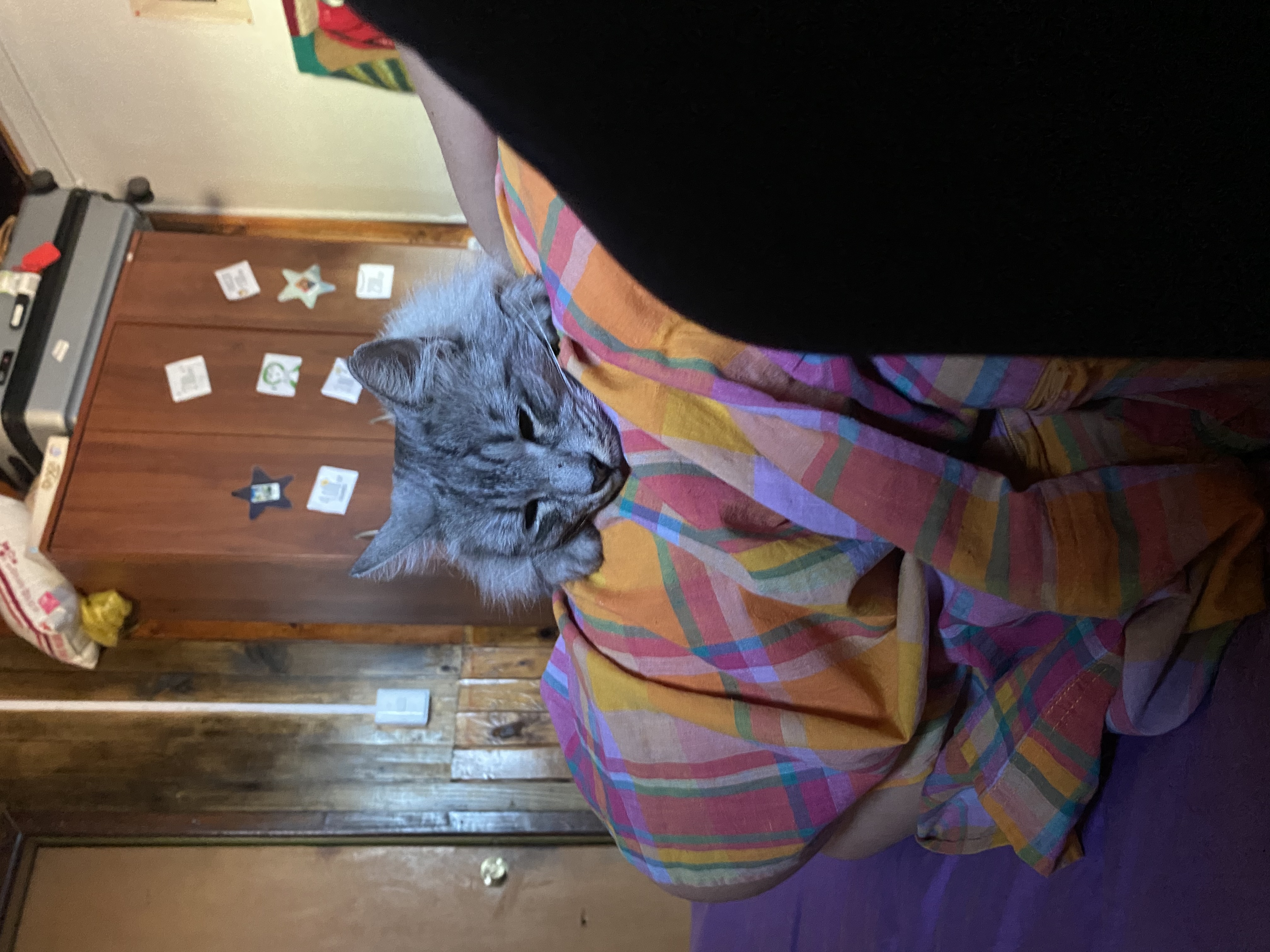 image-5