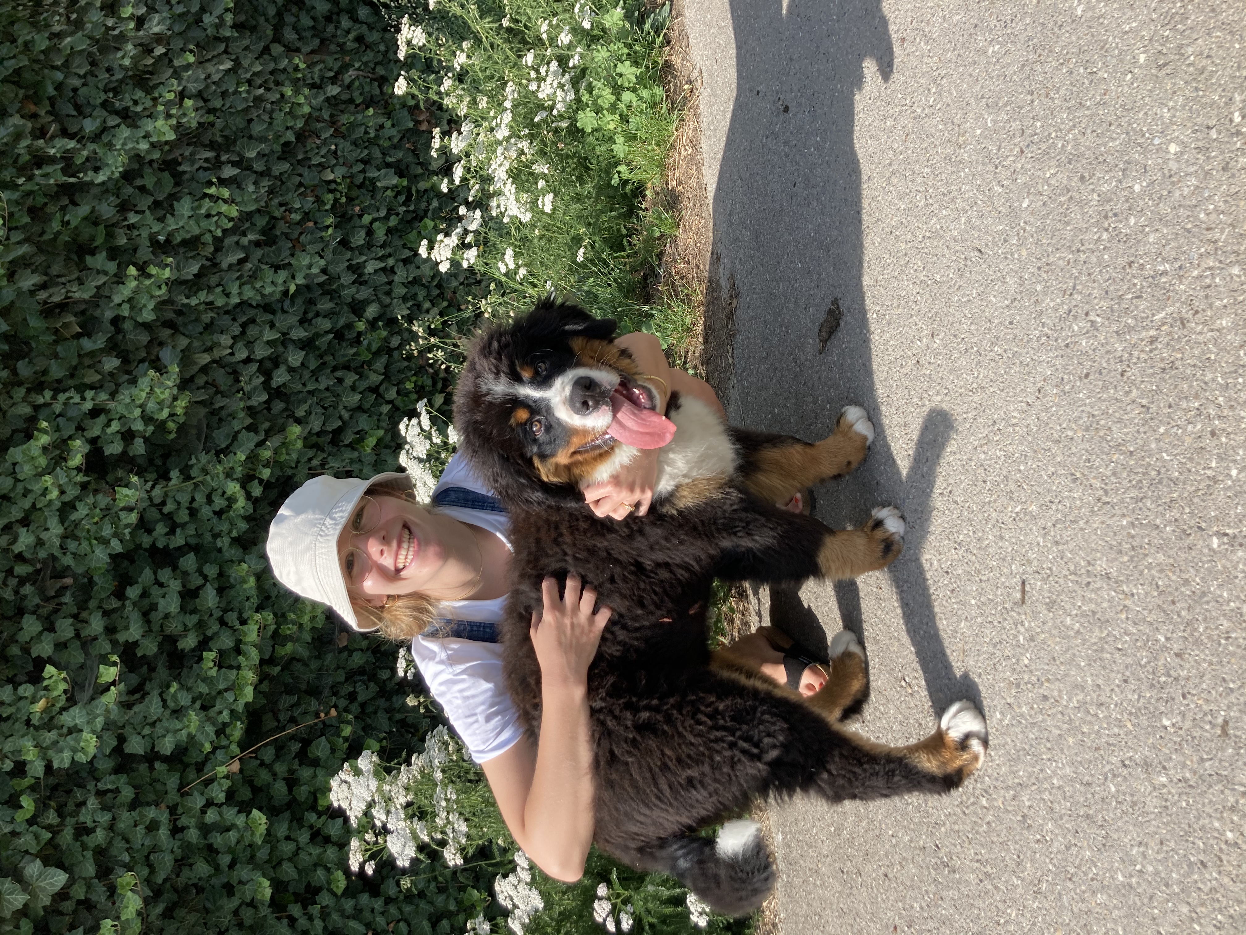 image-6