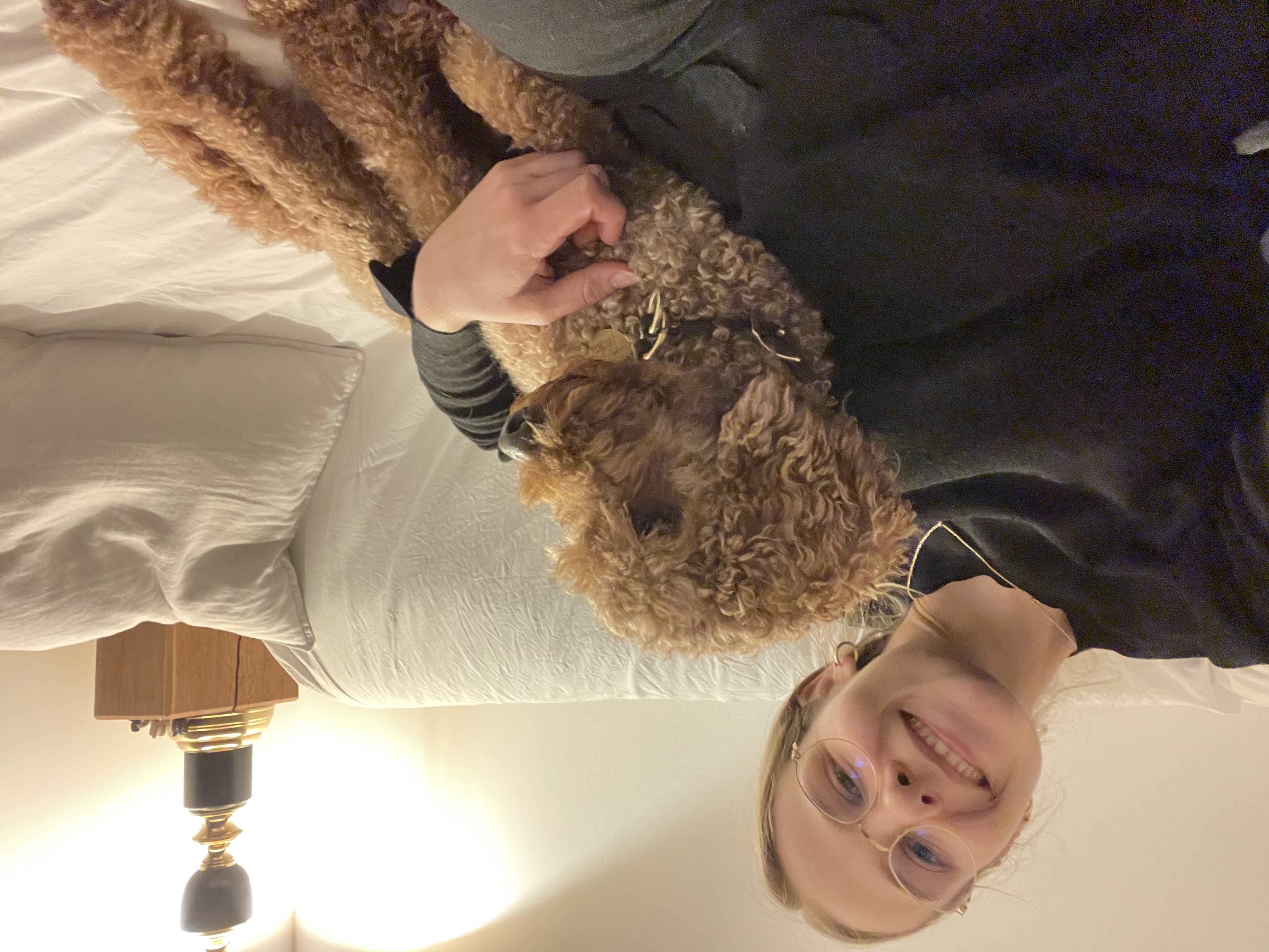 image-7