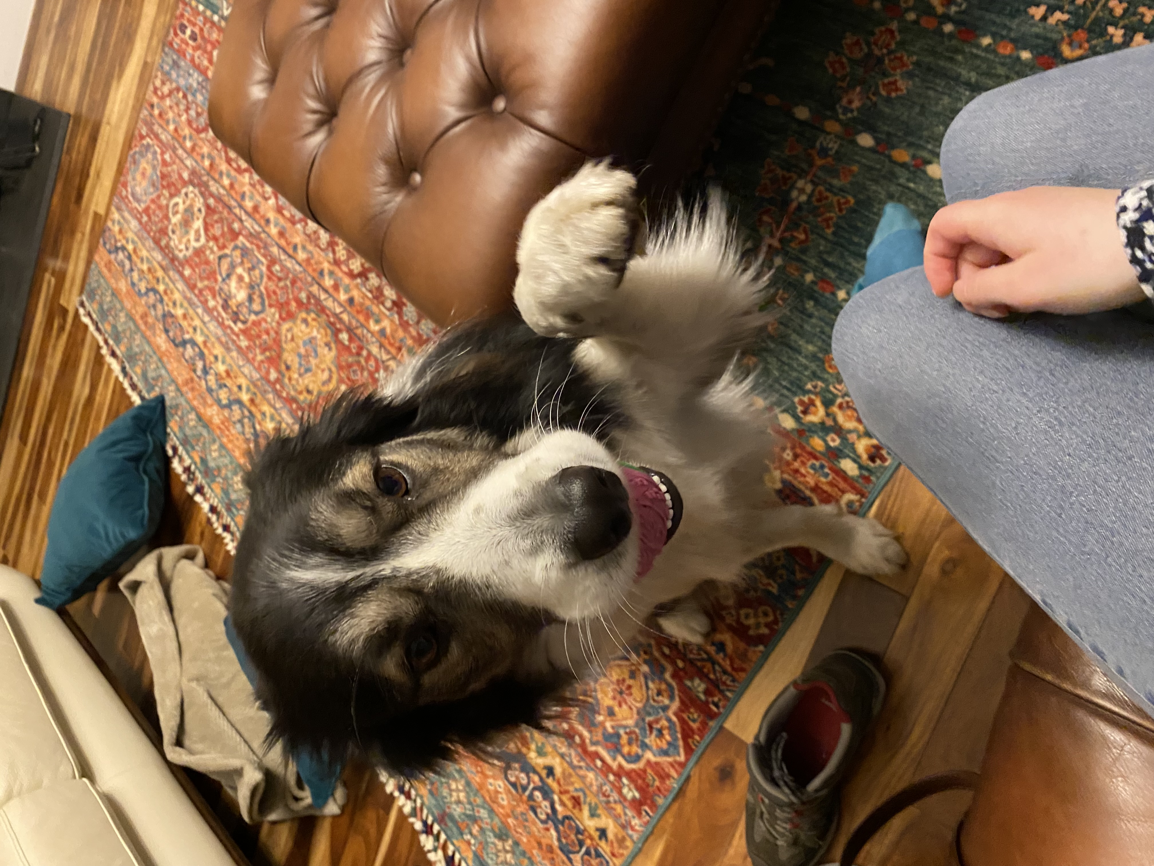 image-5