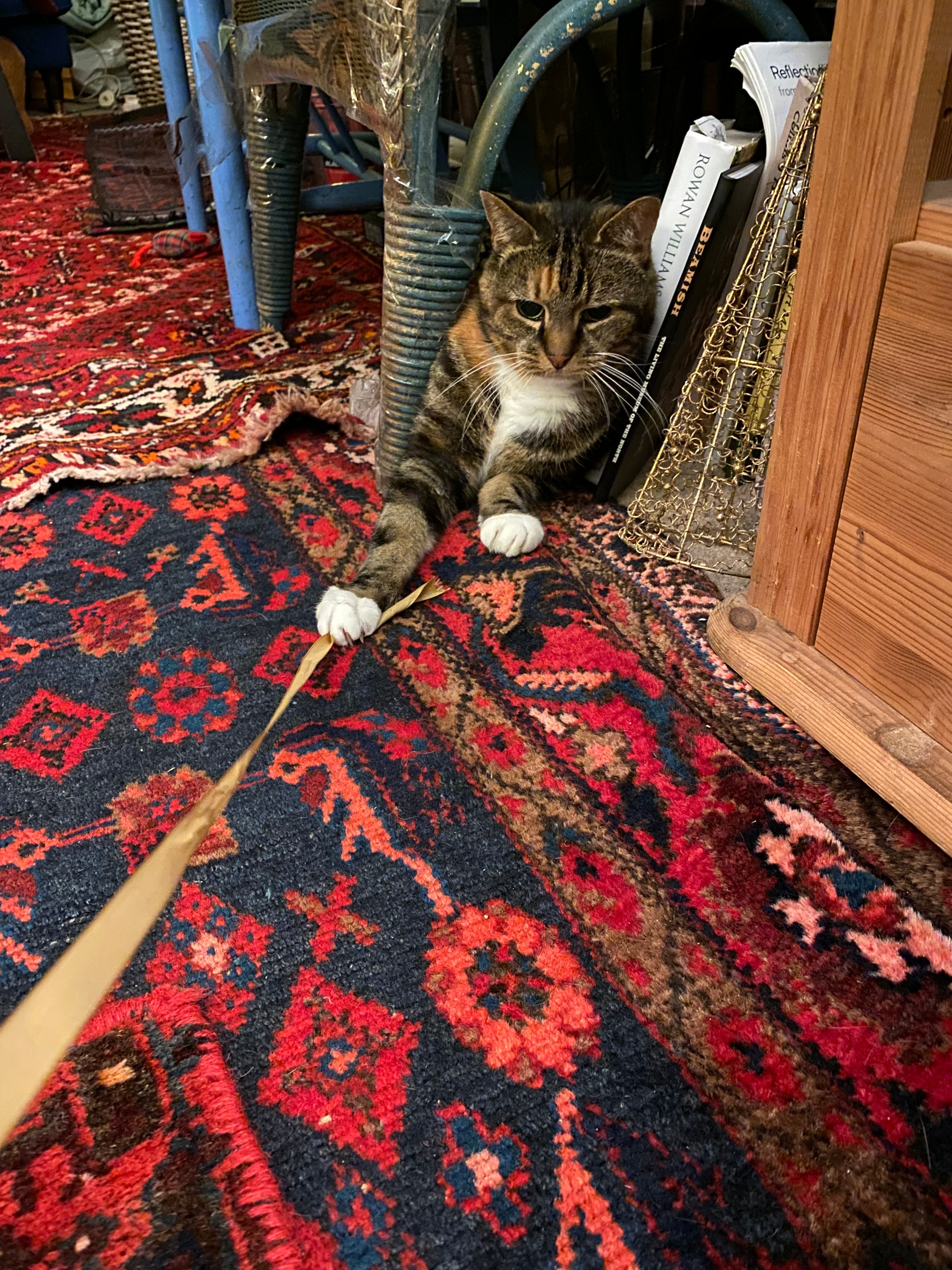 image-7