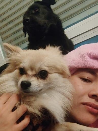 image-8