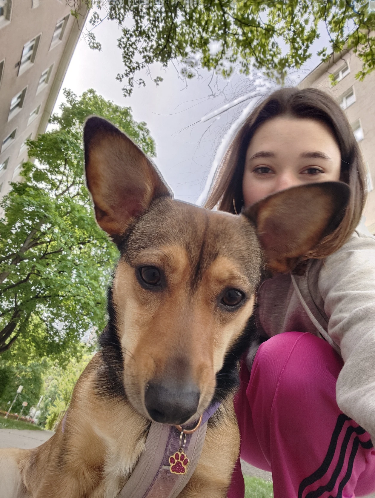 image-6