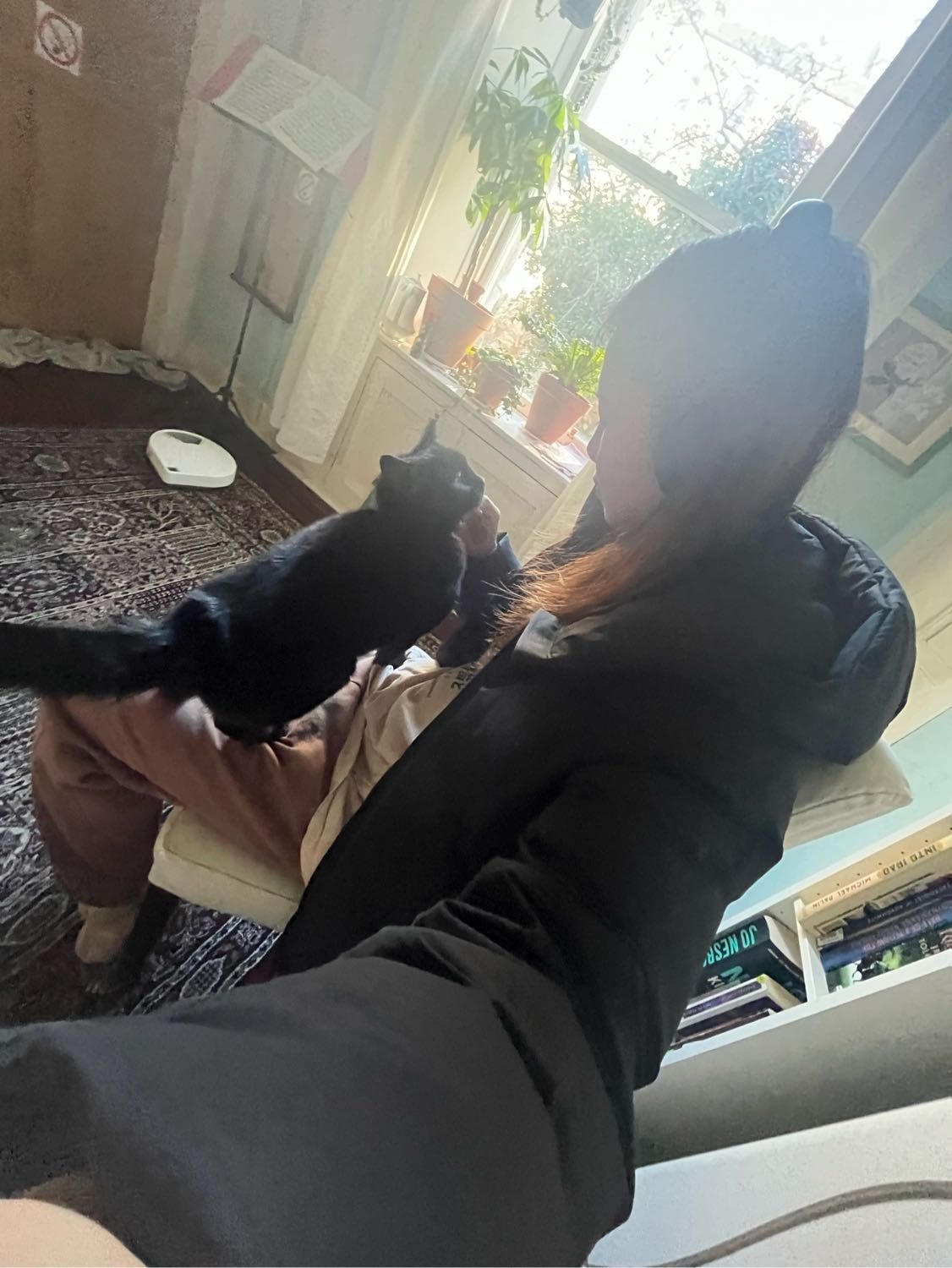 image-7