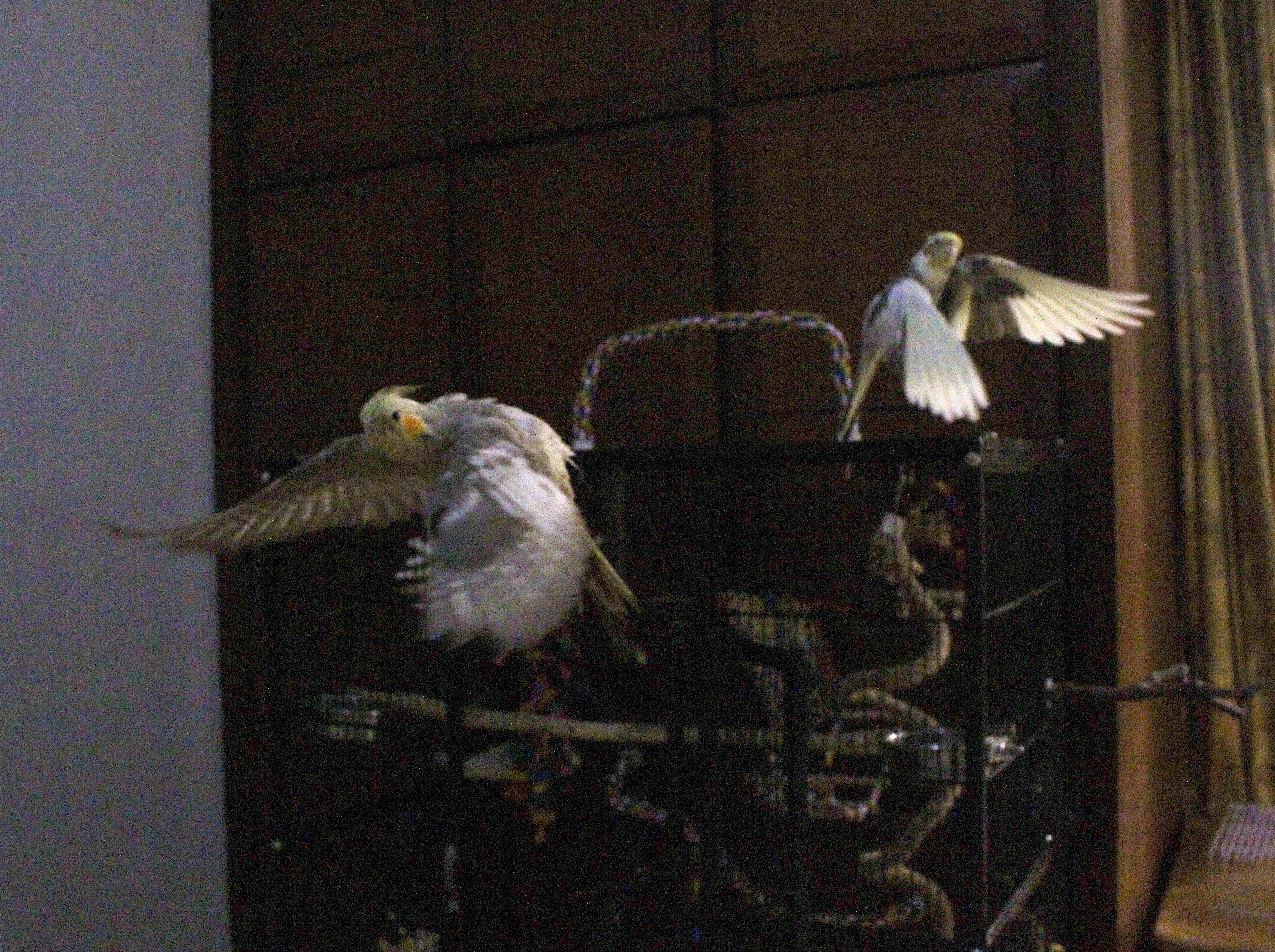 image-10