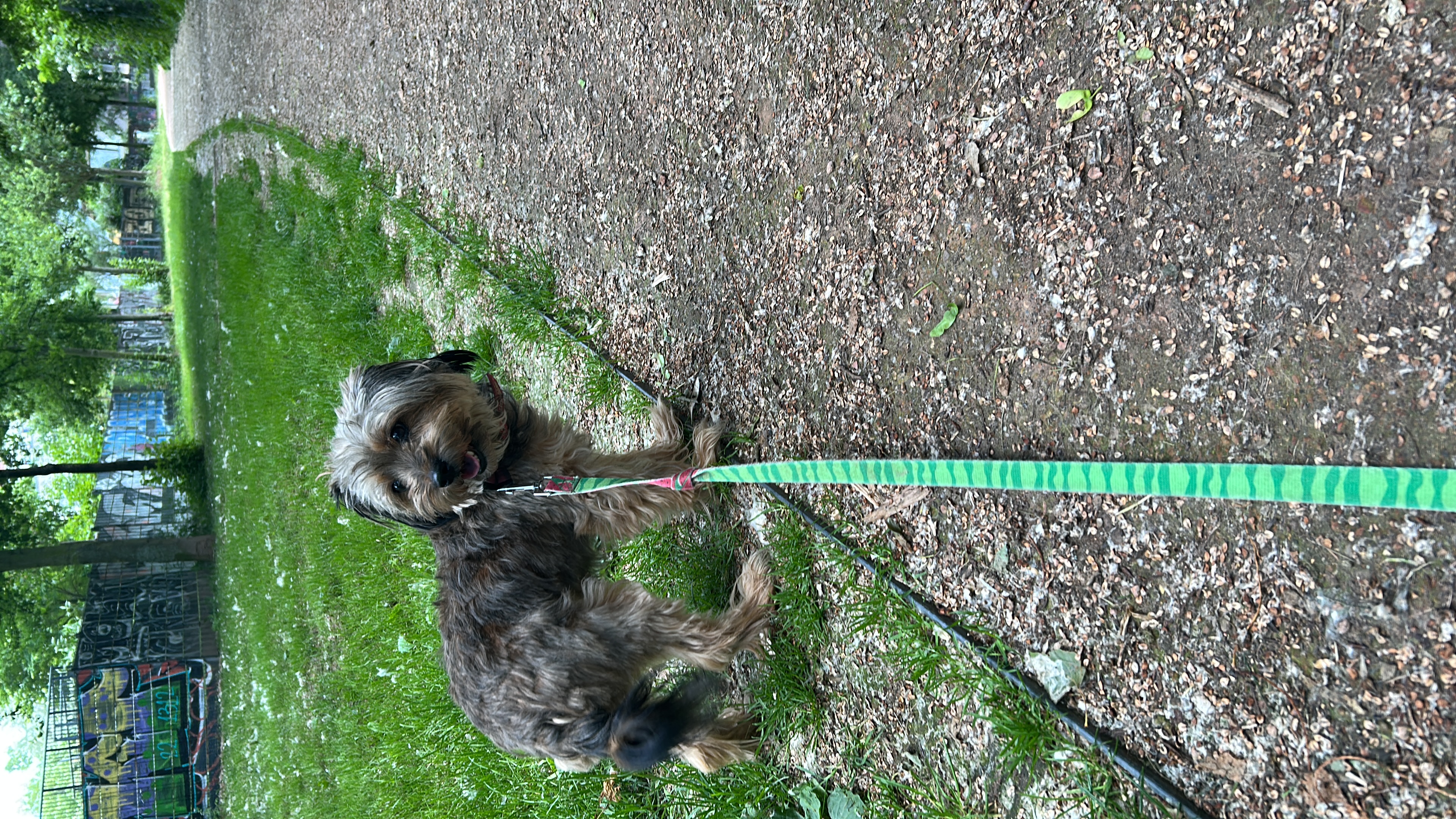image-10