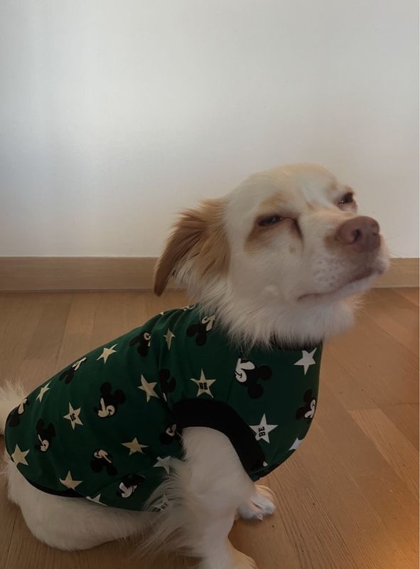 image-11