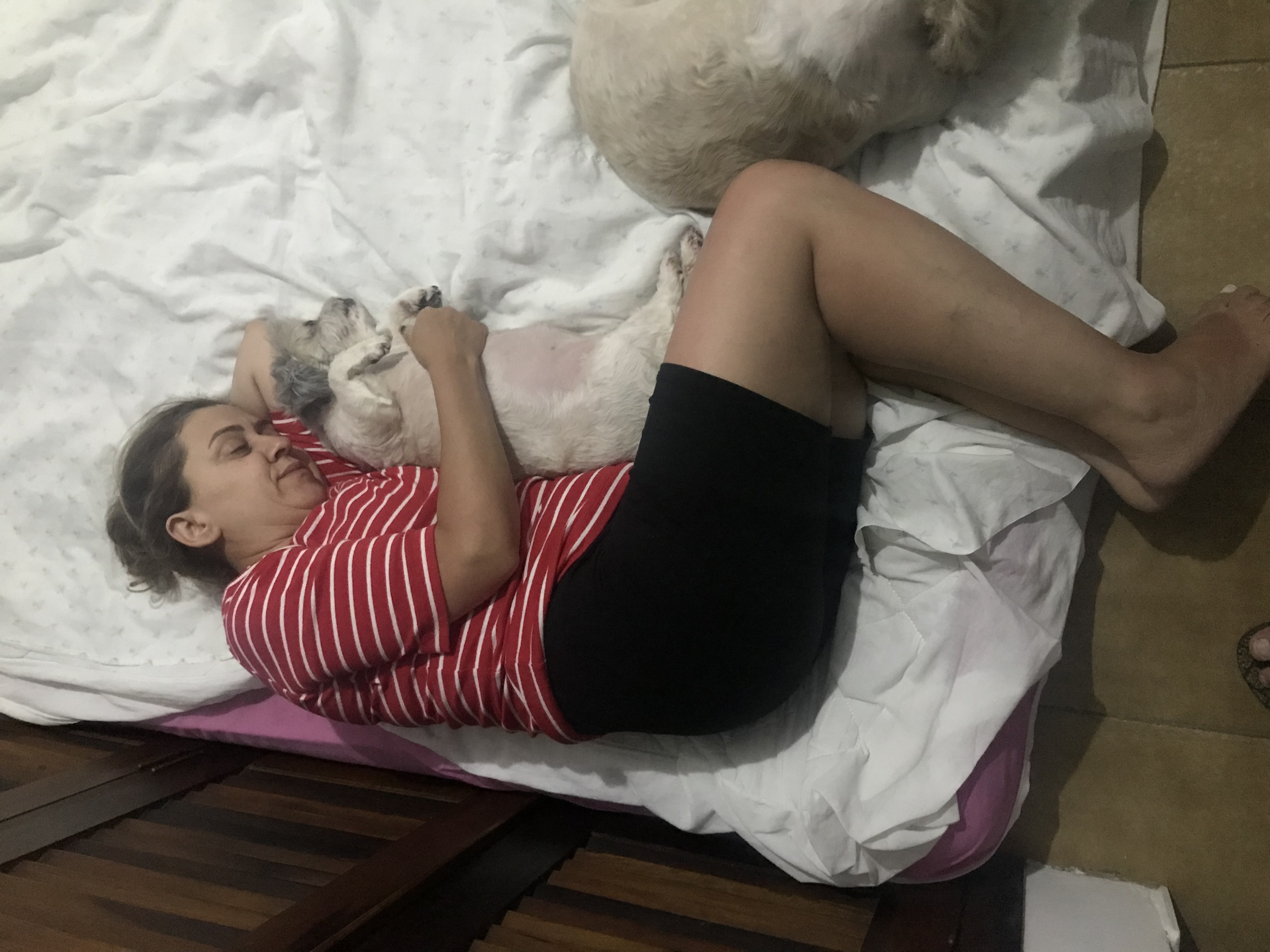 image-4