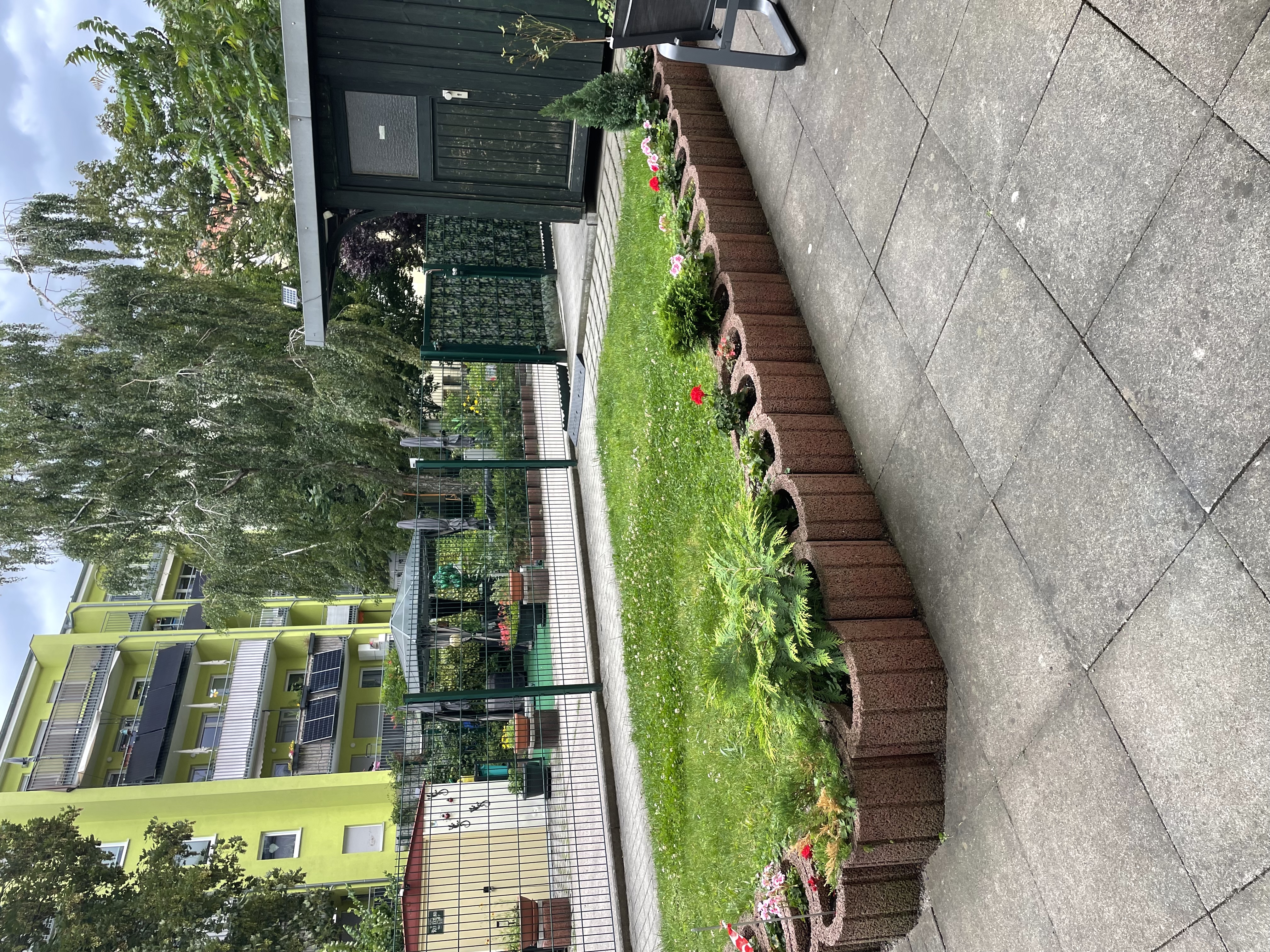 image-14
