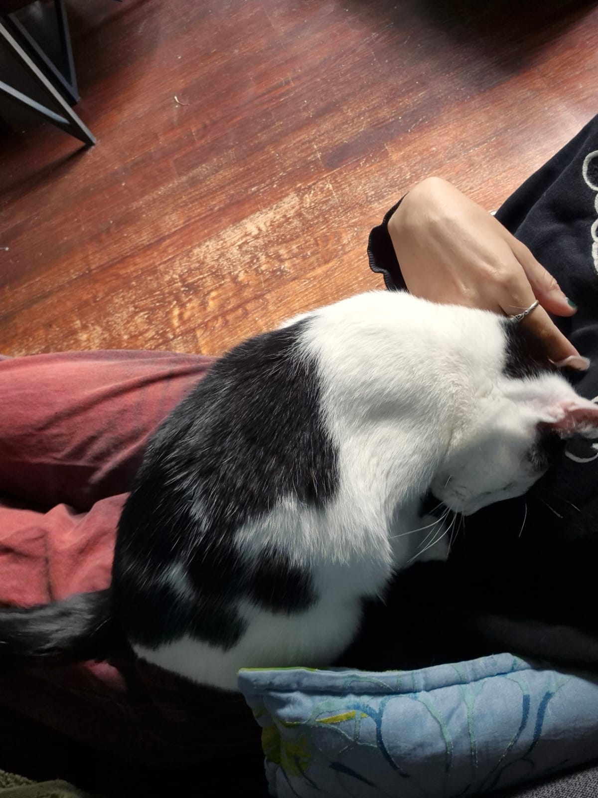 image-8