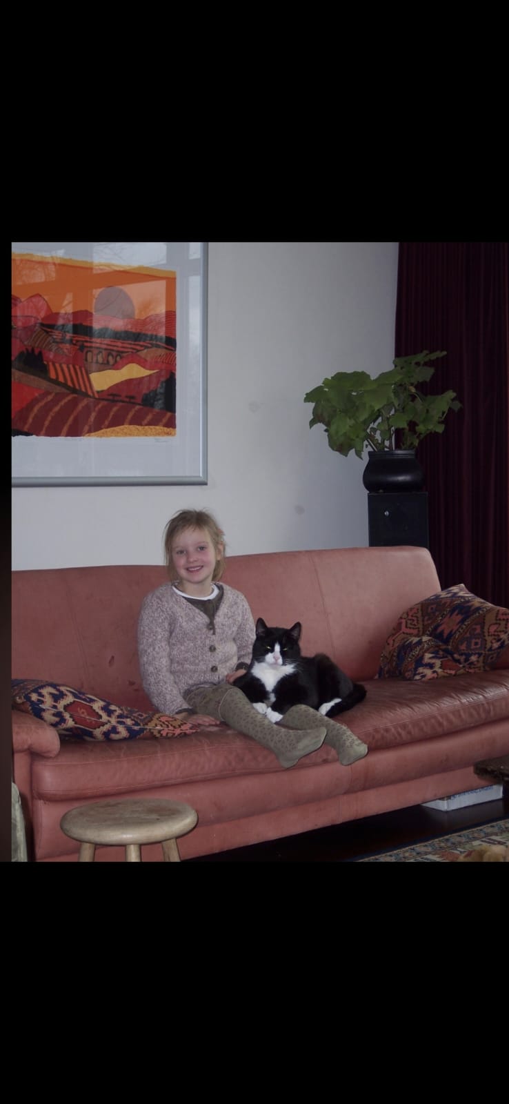 image-10