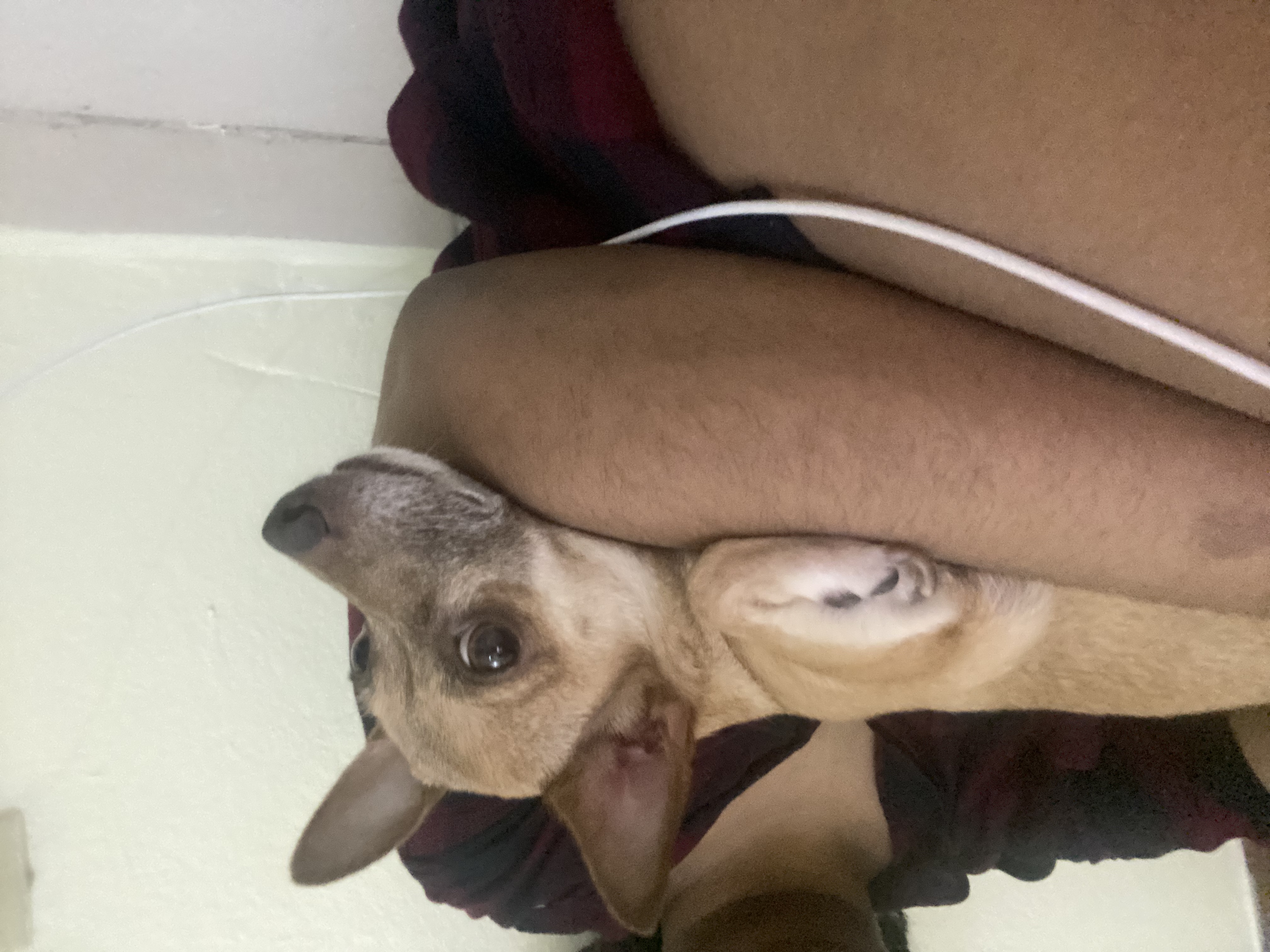 image-8