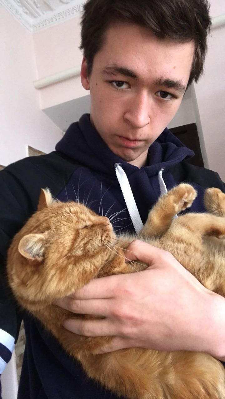 image-1