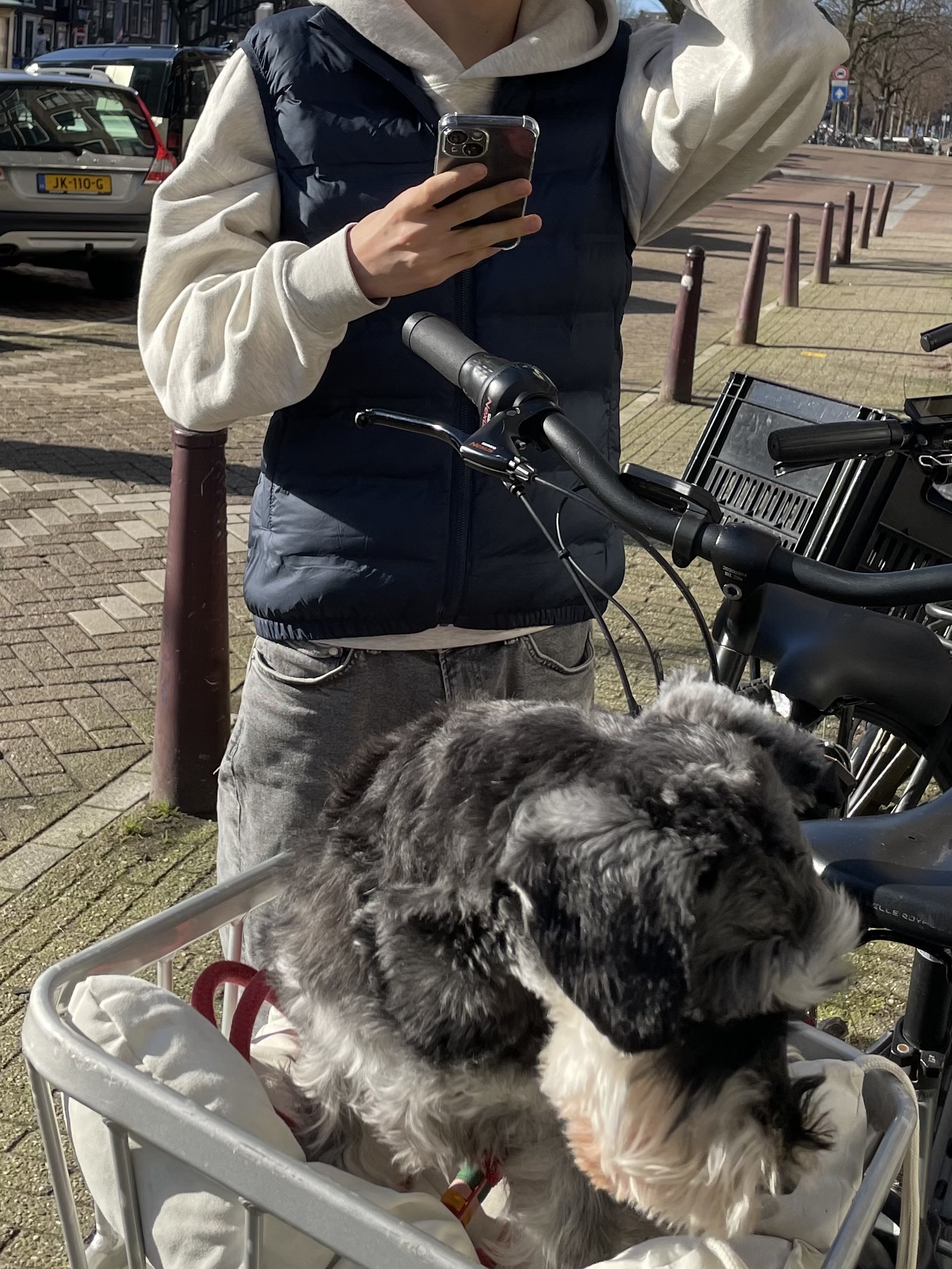 image-9