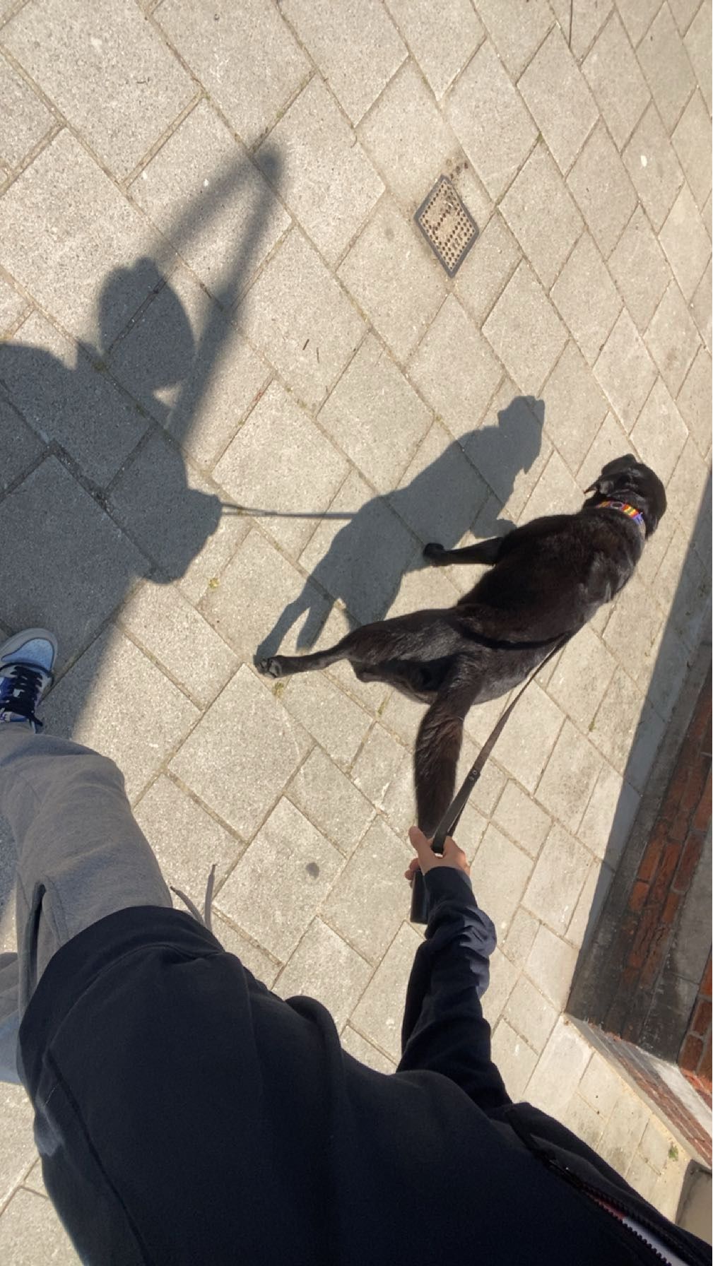 image-11