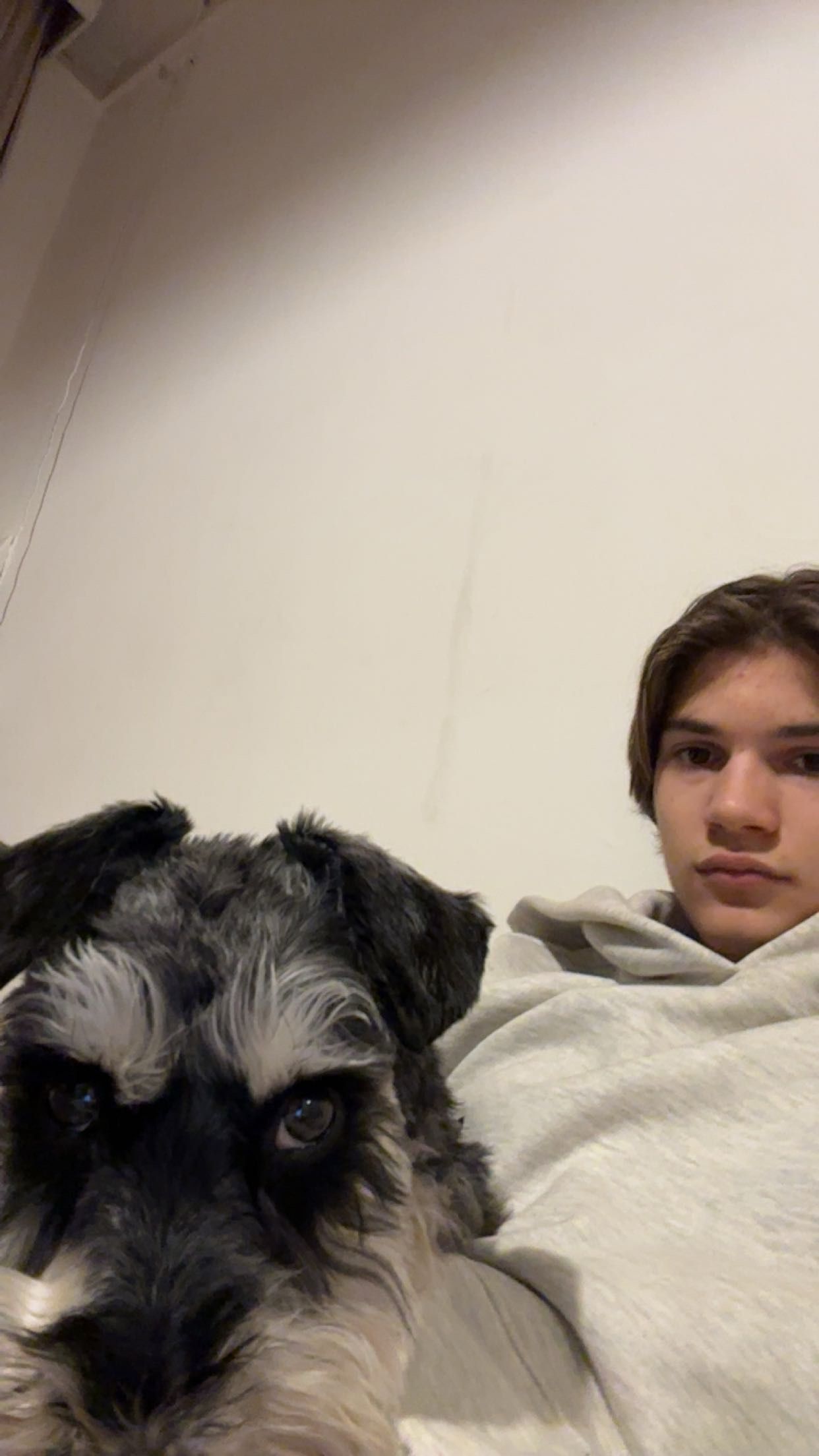 image-6