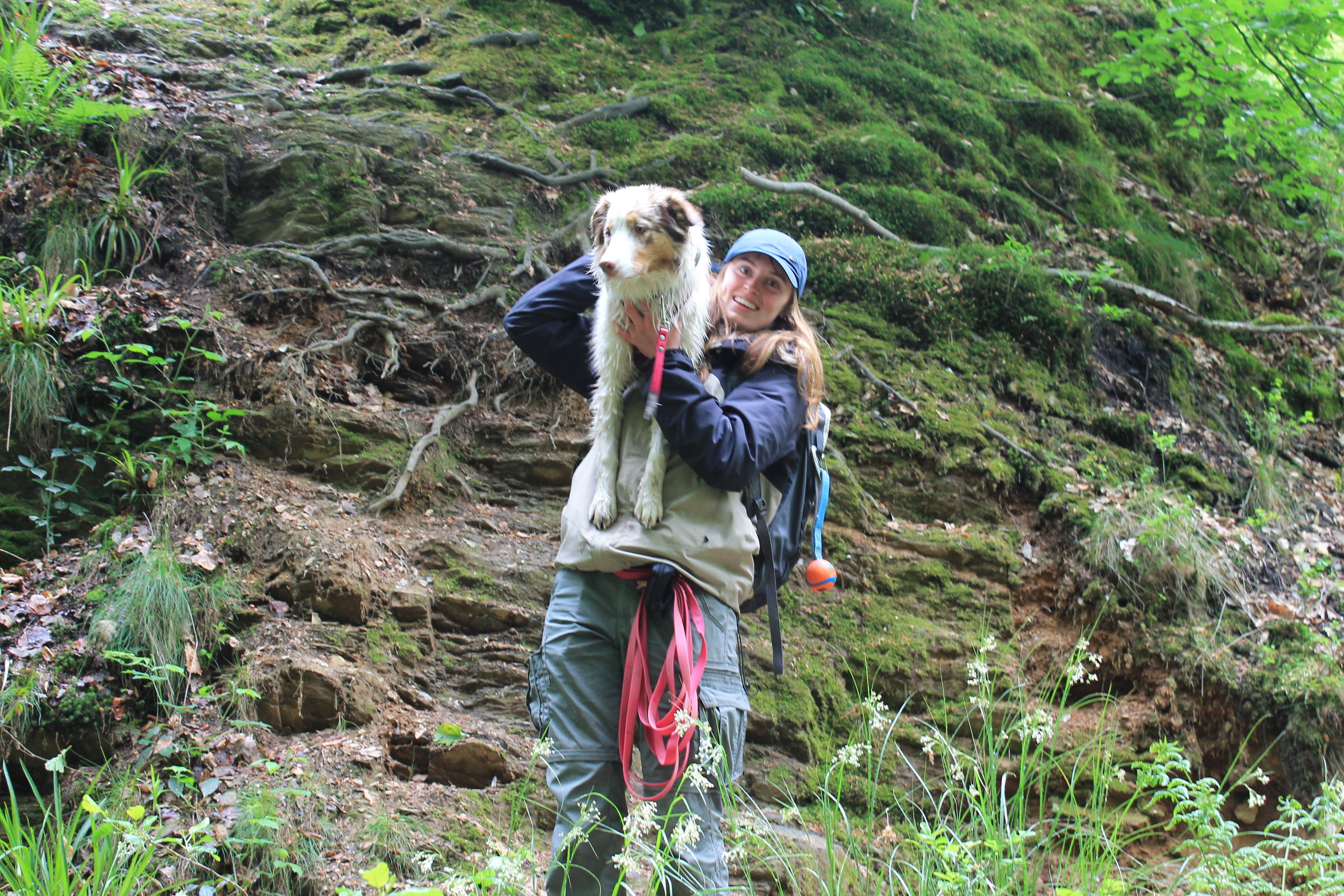 image-9