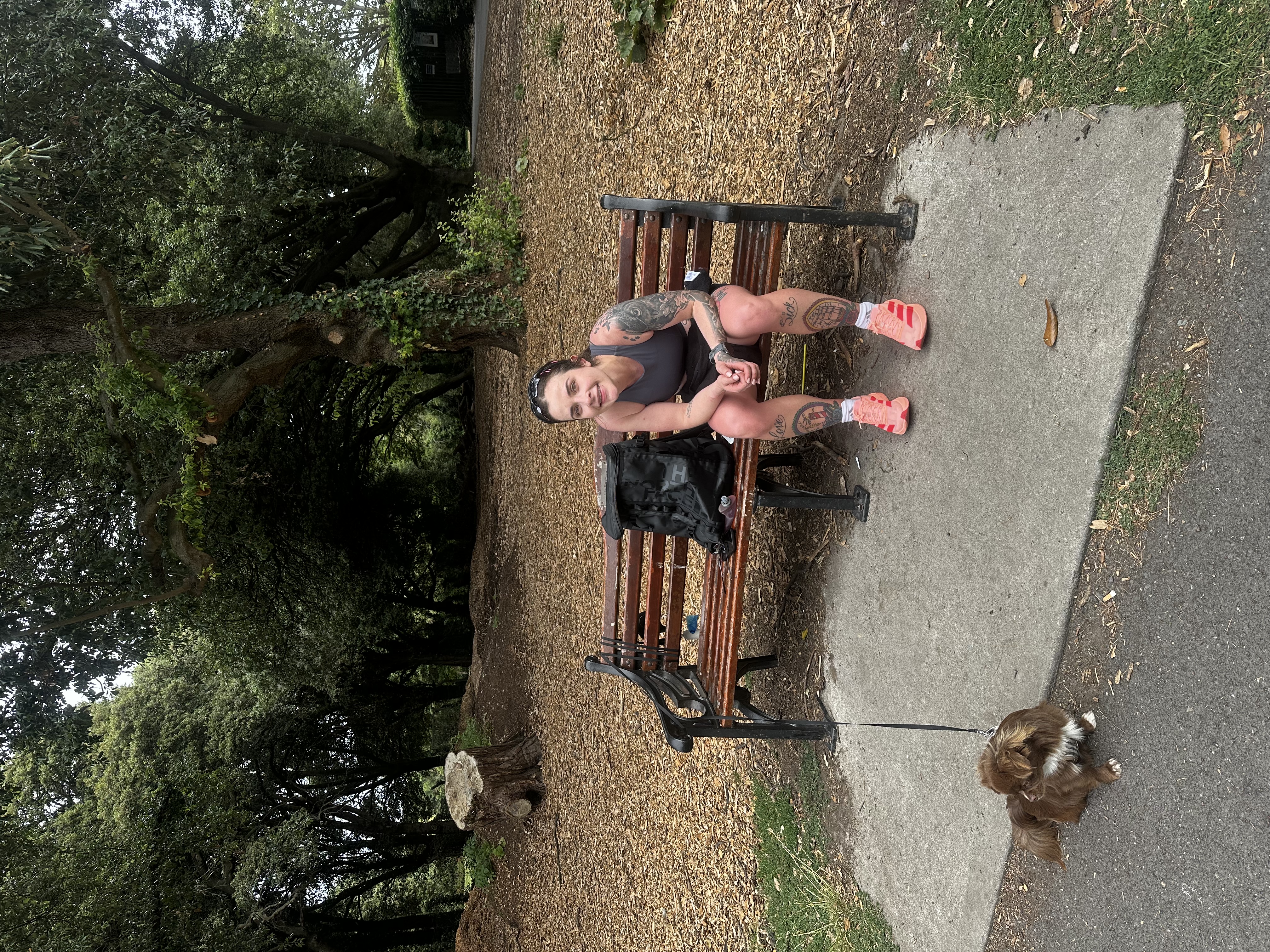 image-15
