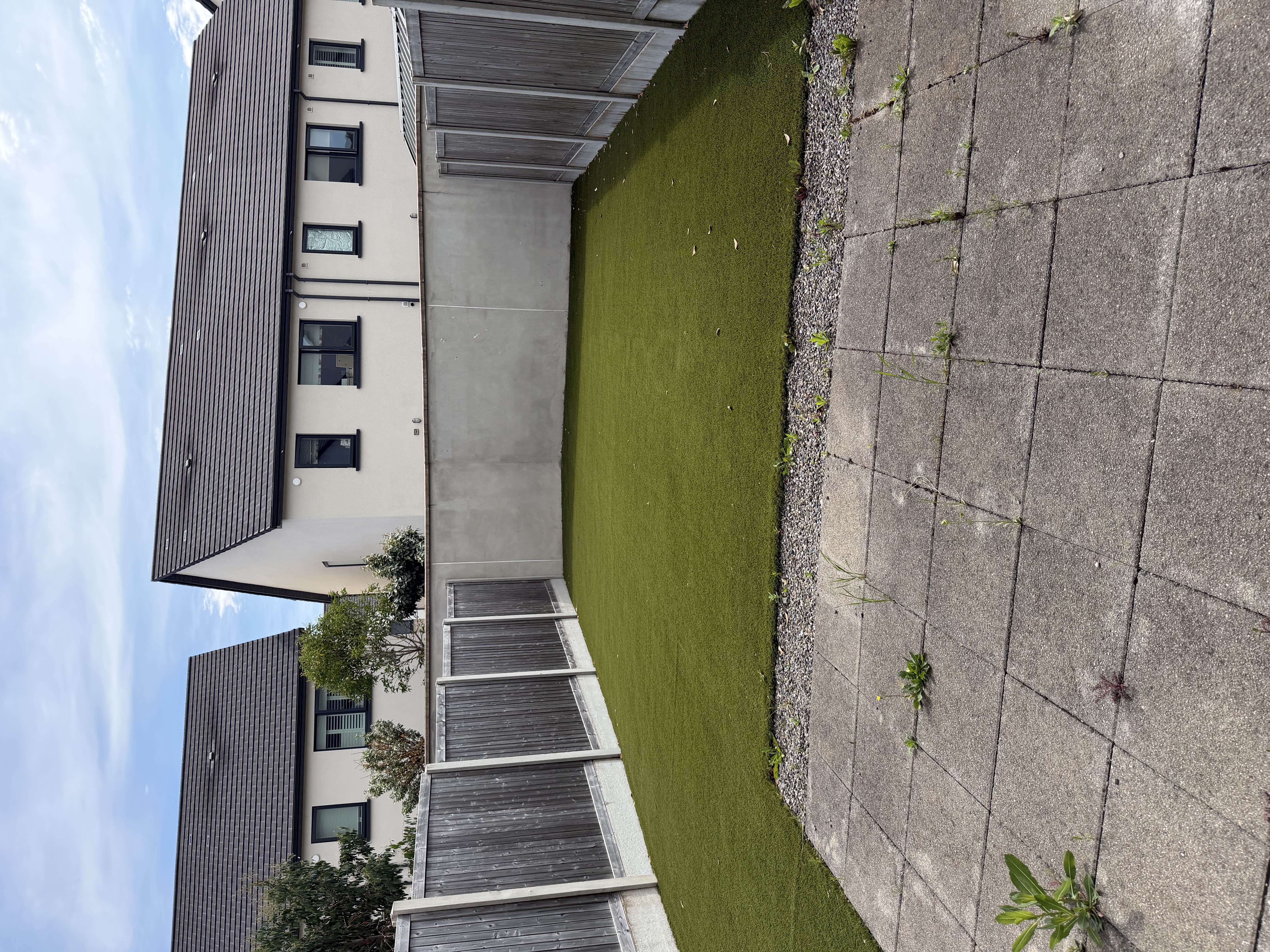 image-20