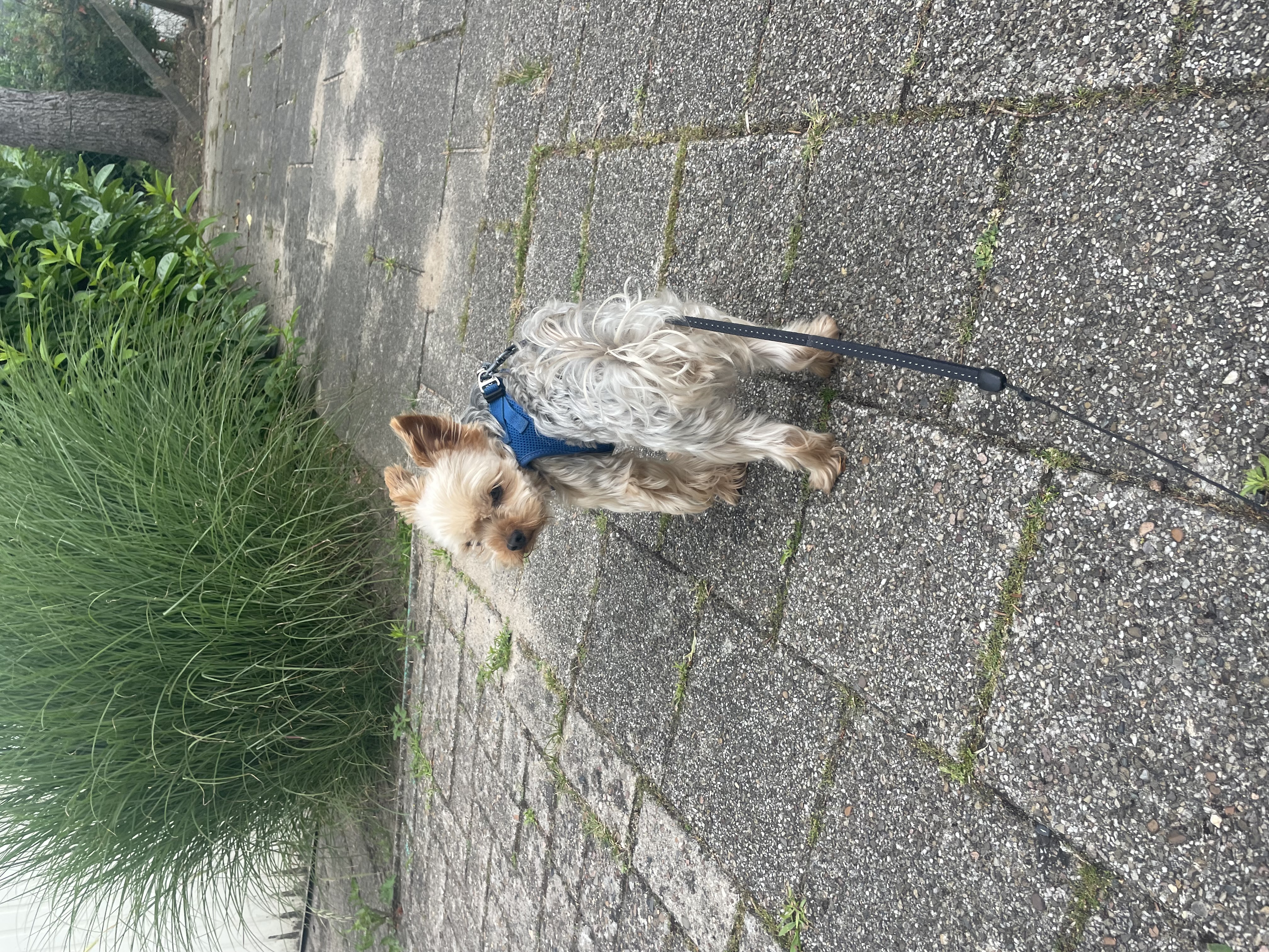 image-8