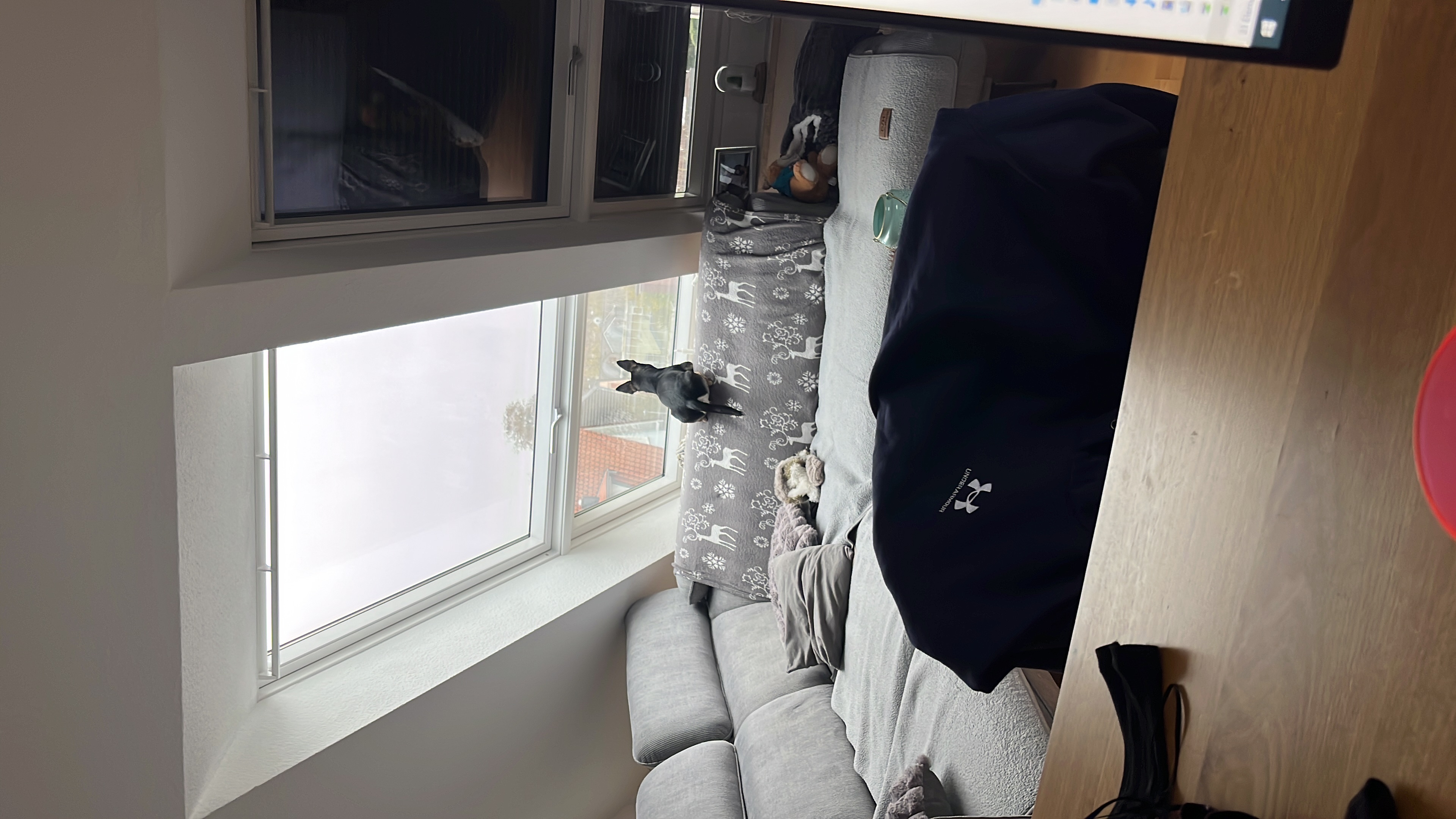 image-14