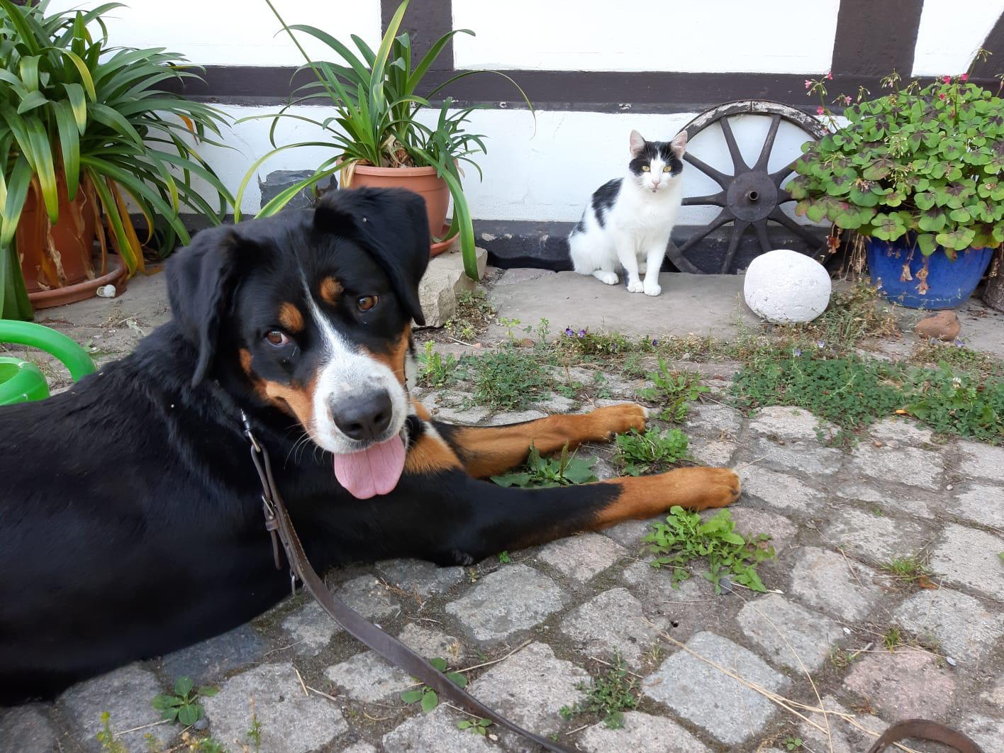 image-9