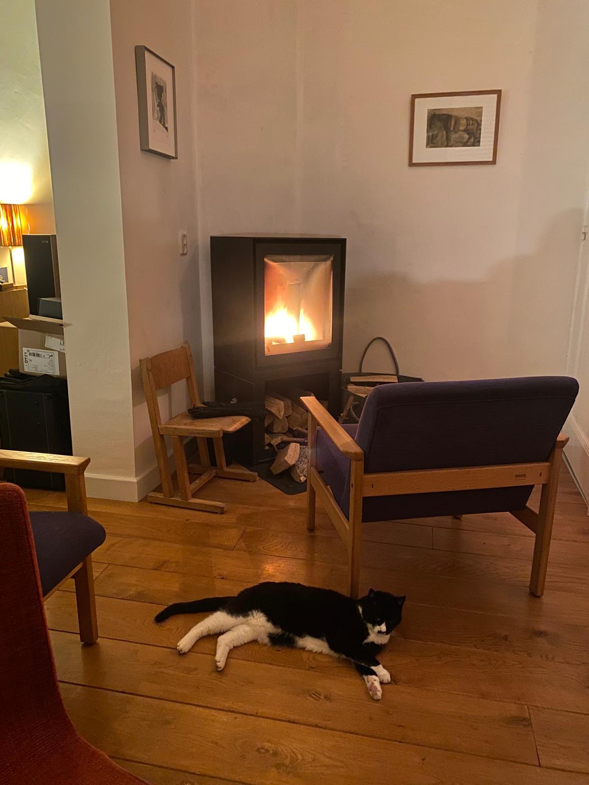 image-15