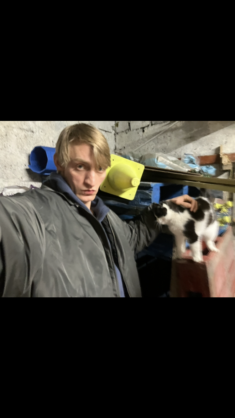 image-12