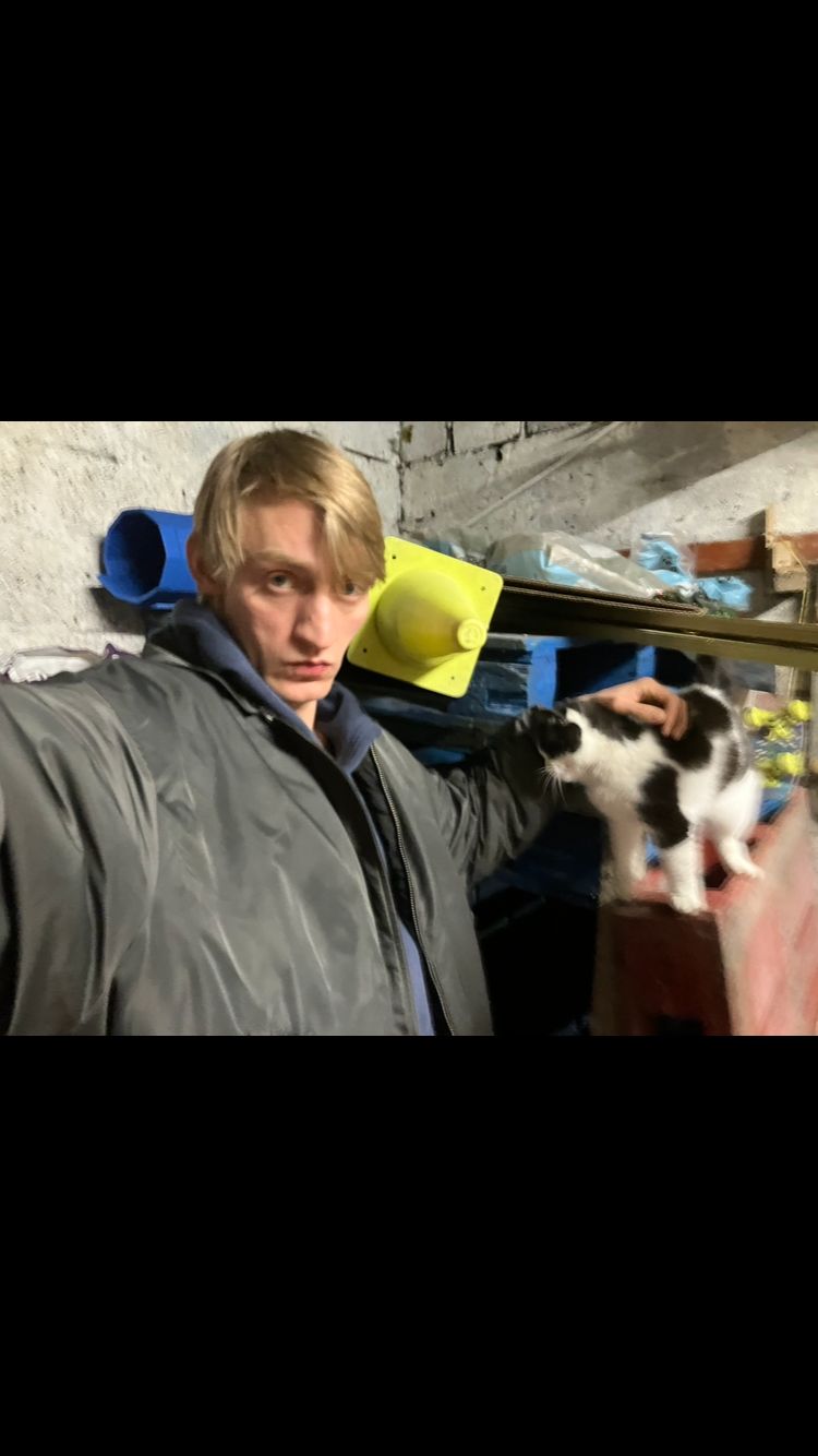 image-12