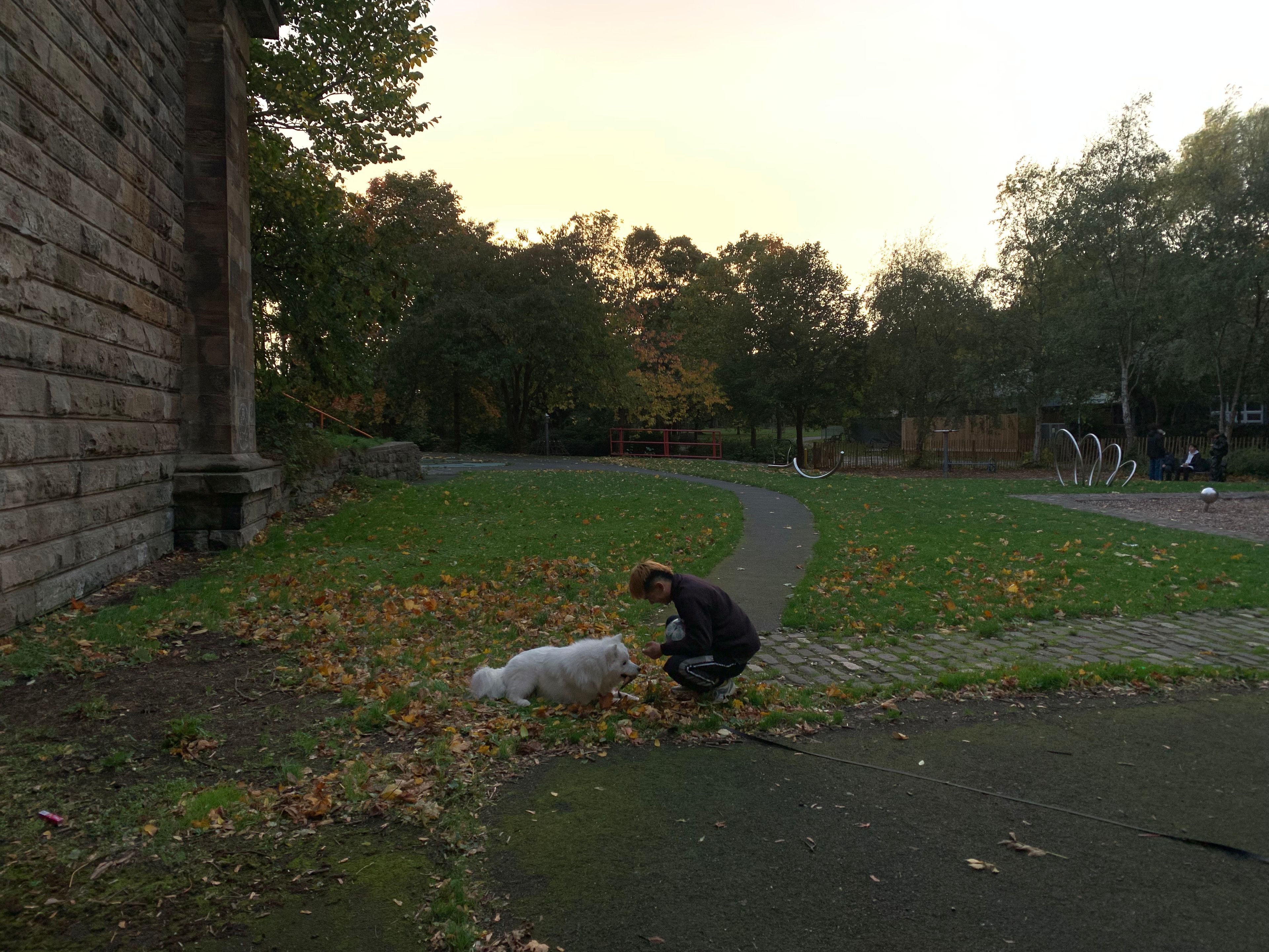 image-5