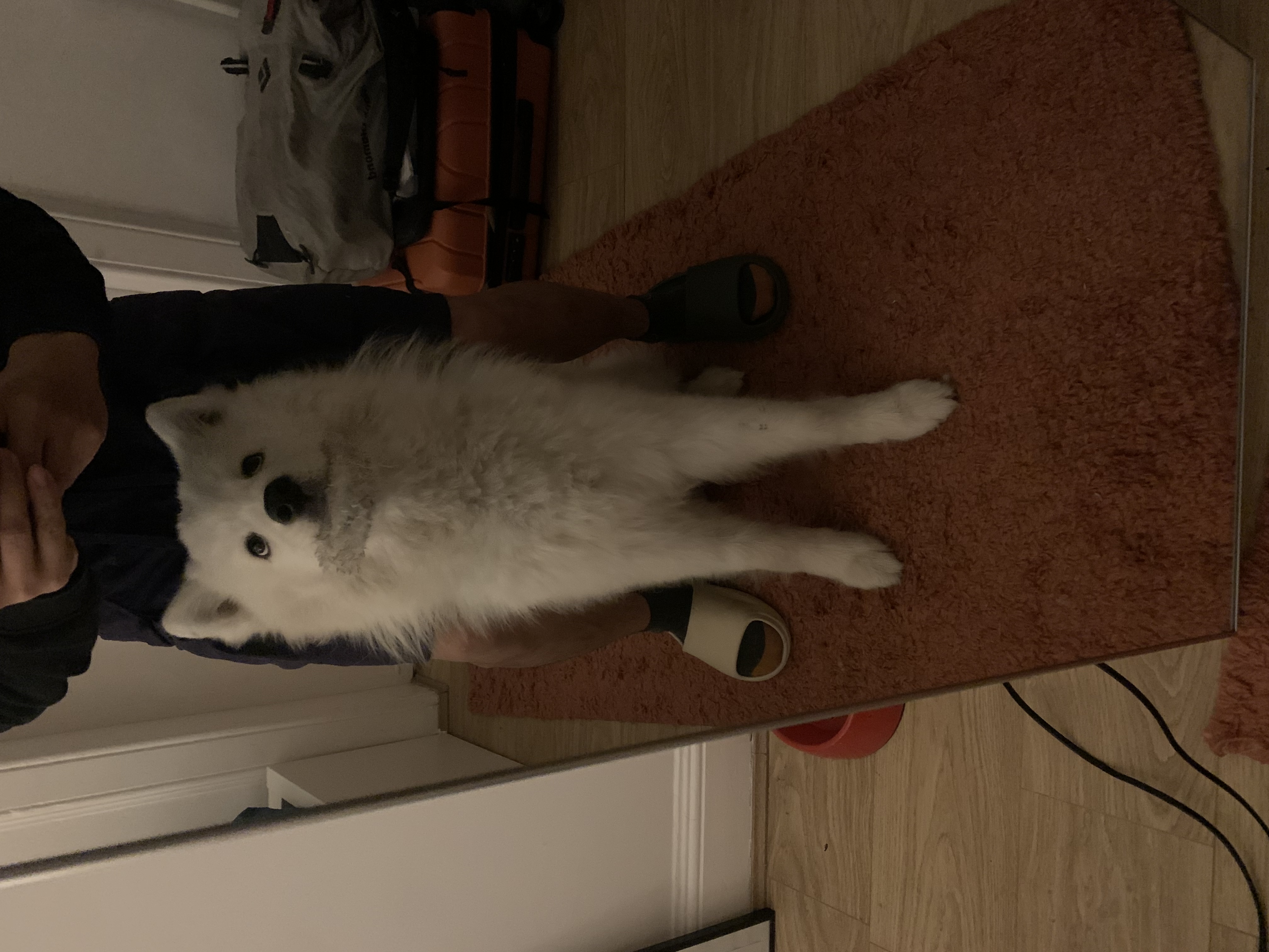 image-9