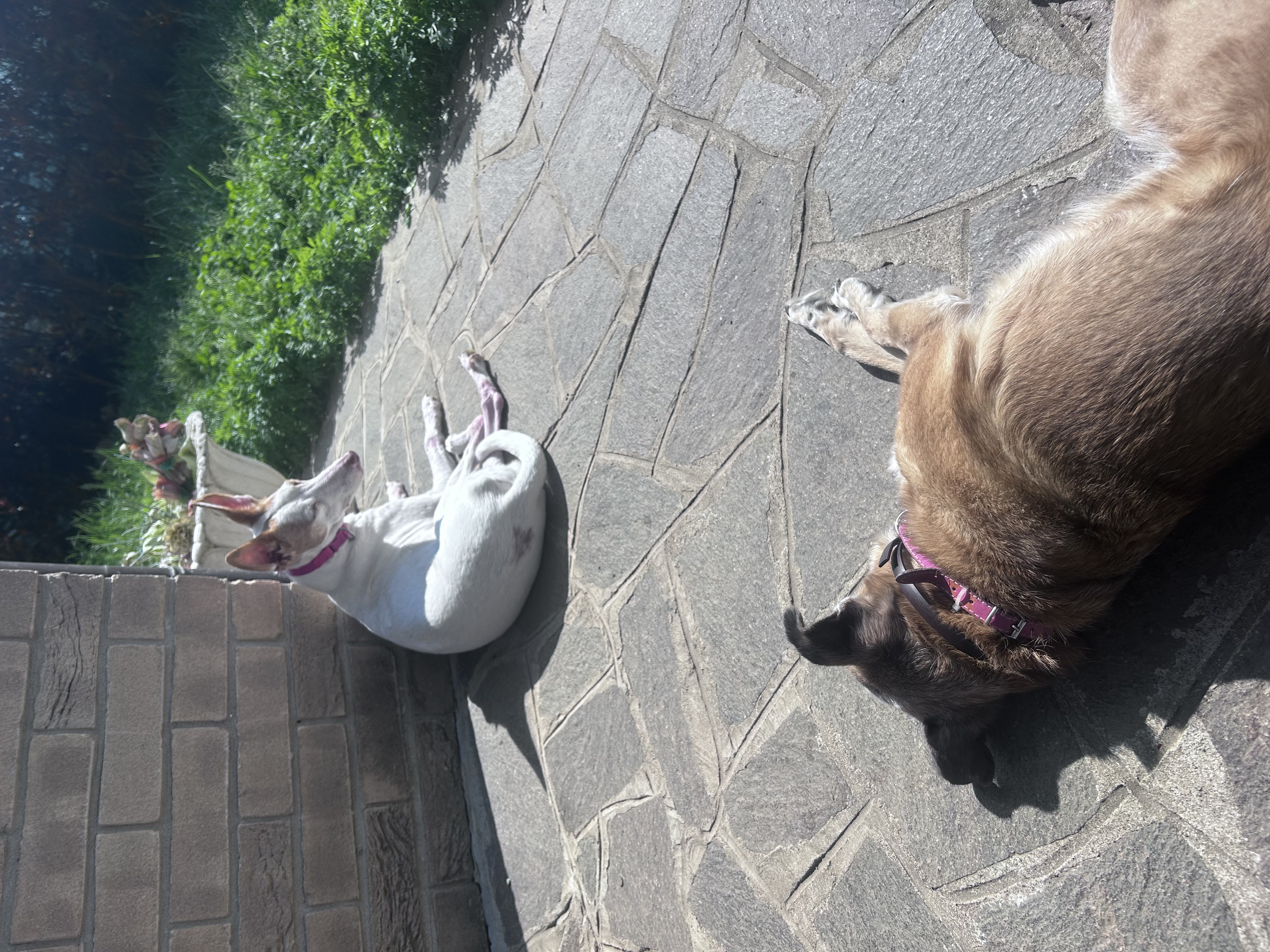 image-8