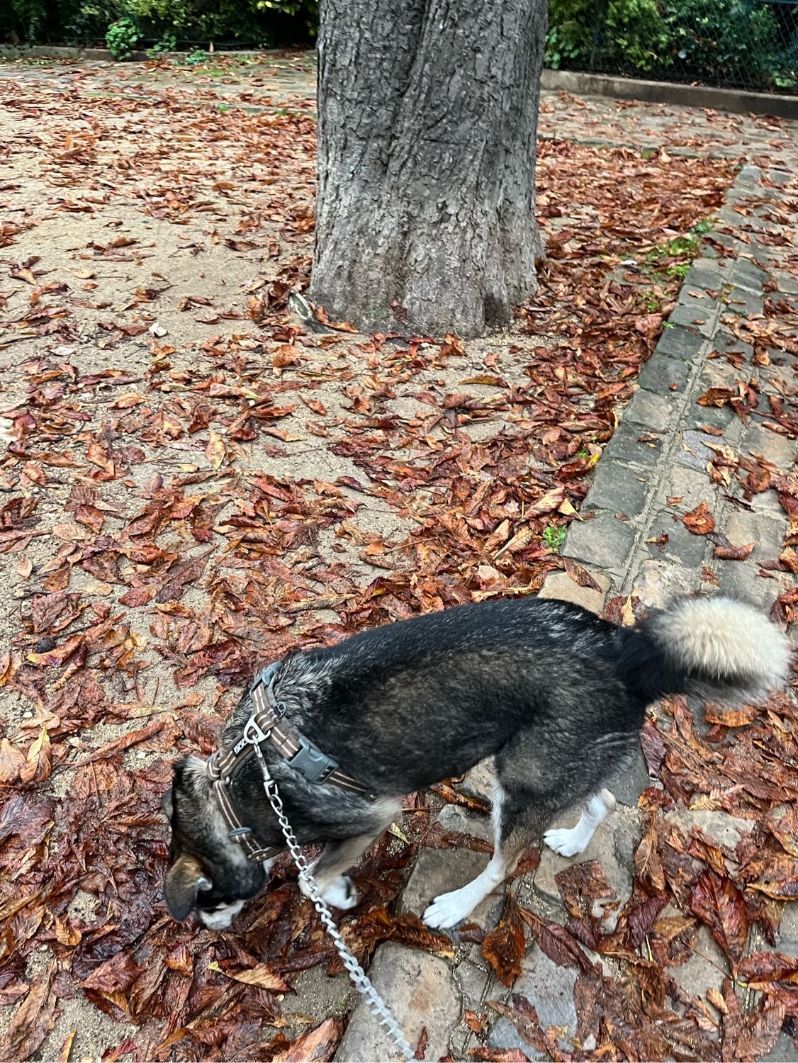 image-5