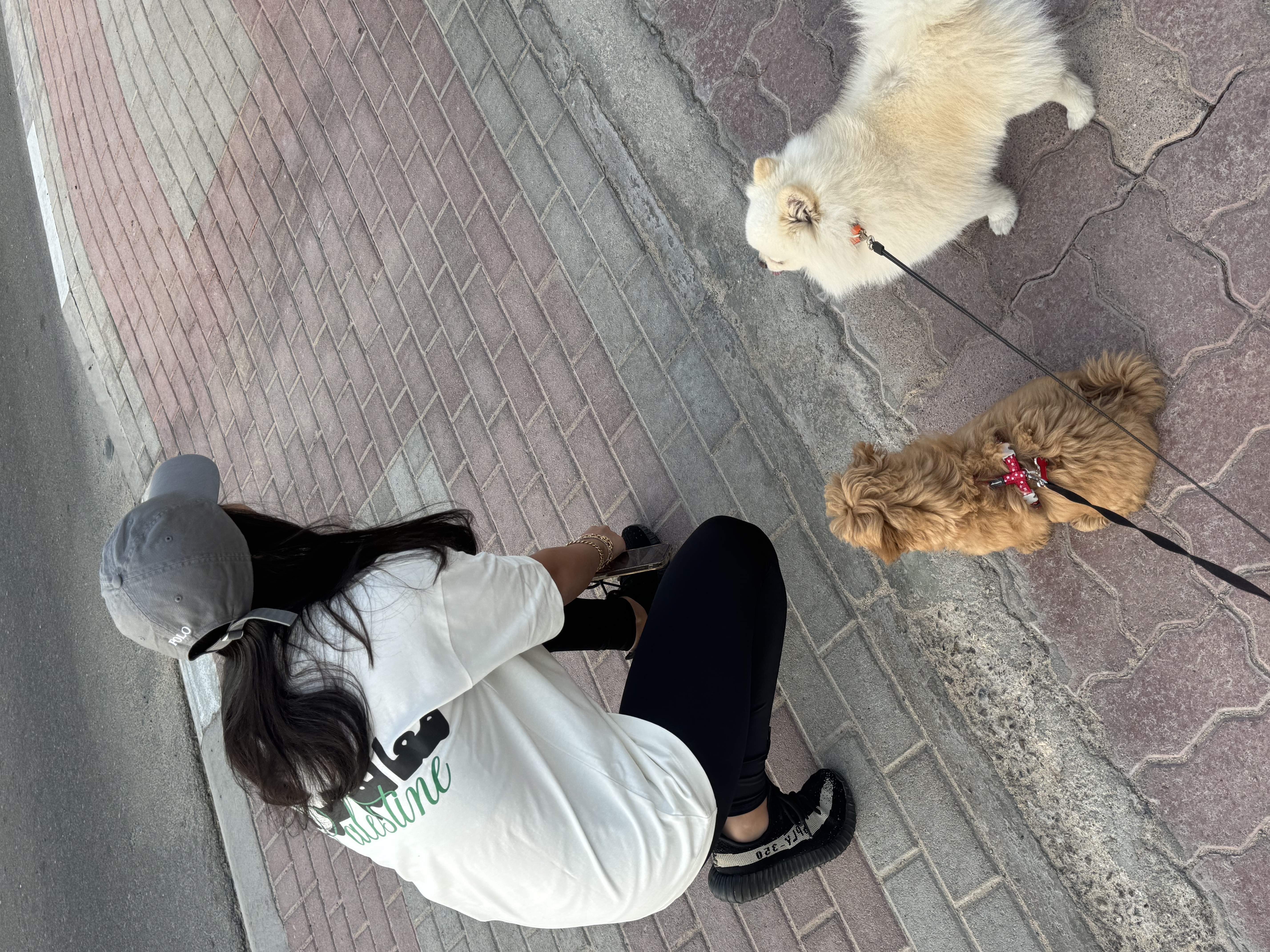image-7
