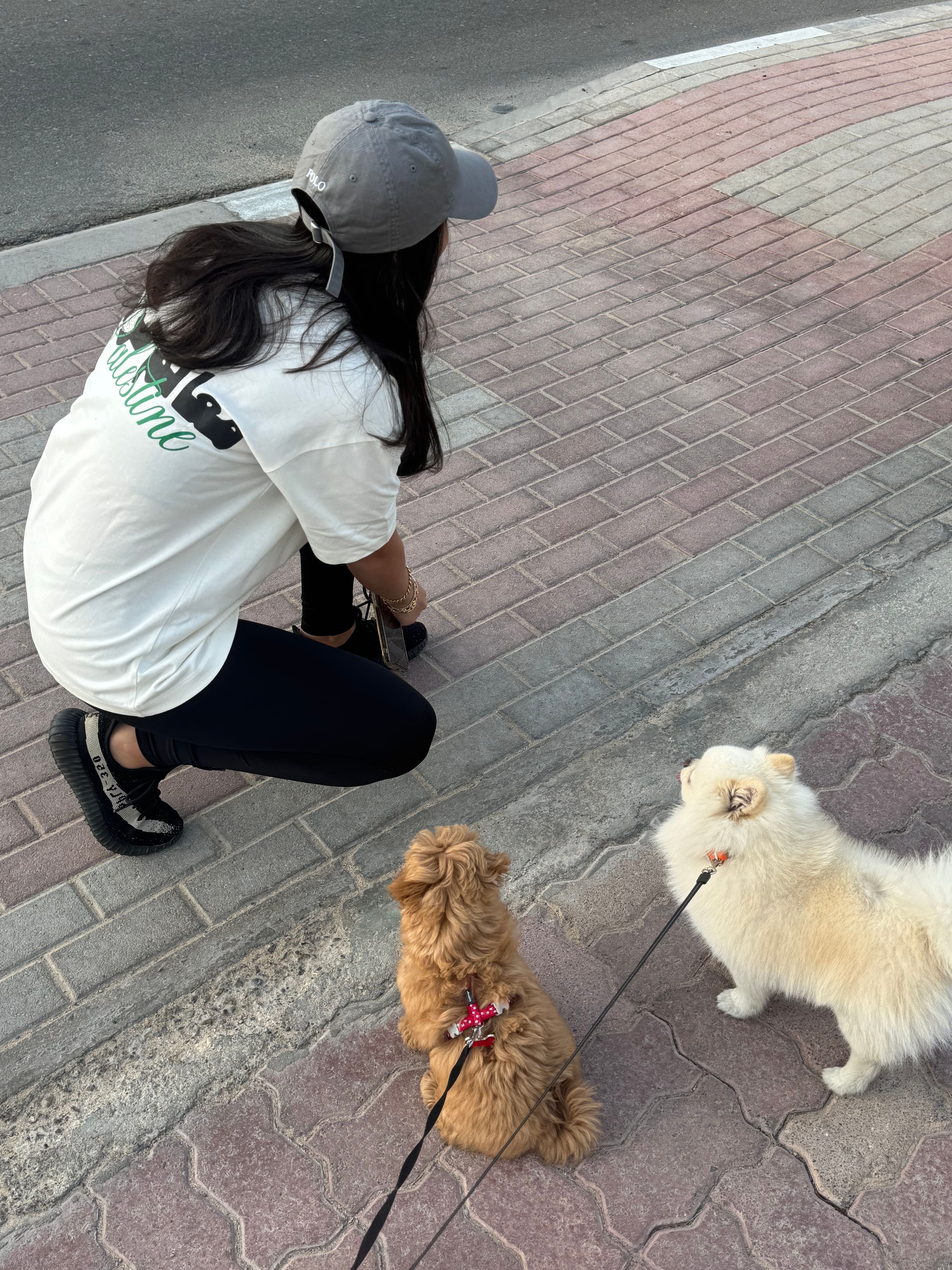 image-7