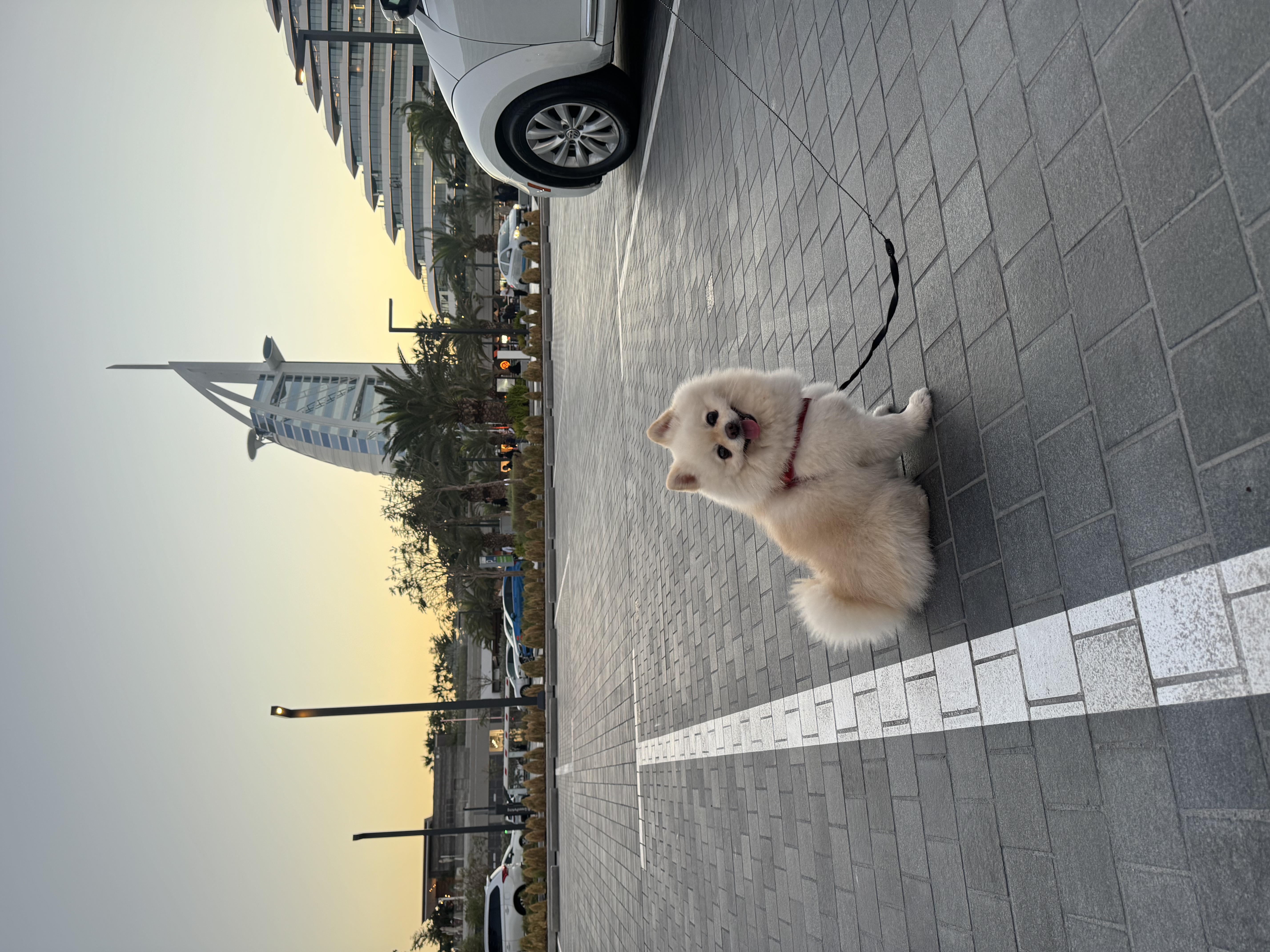 image-9