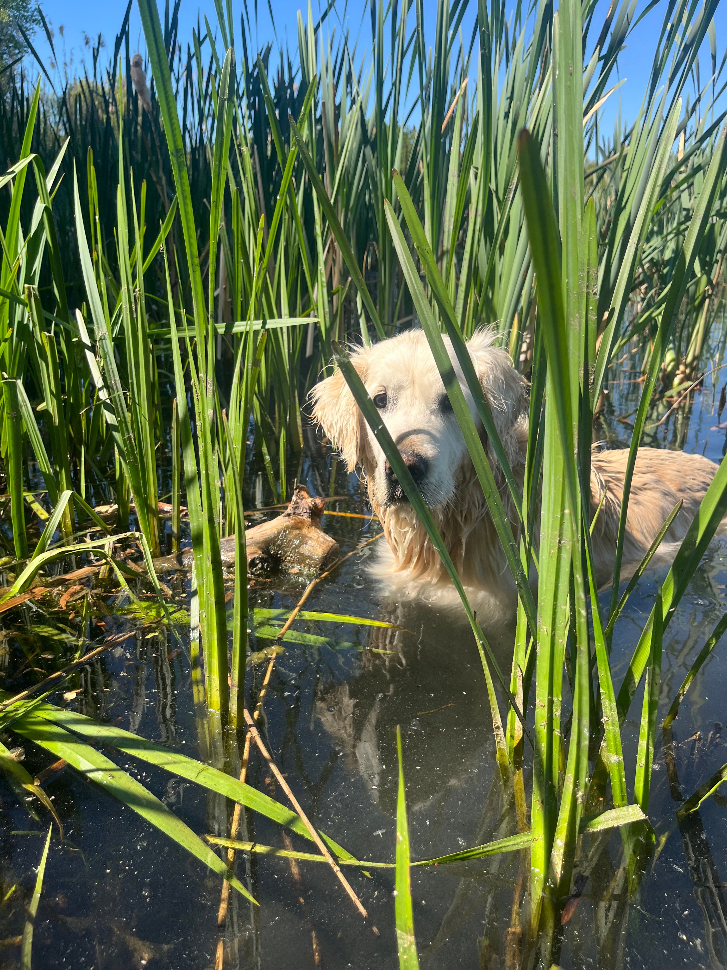 image-6