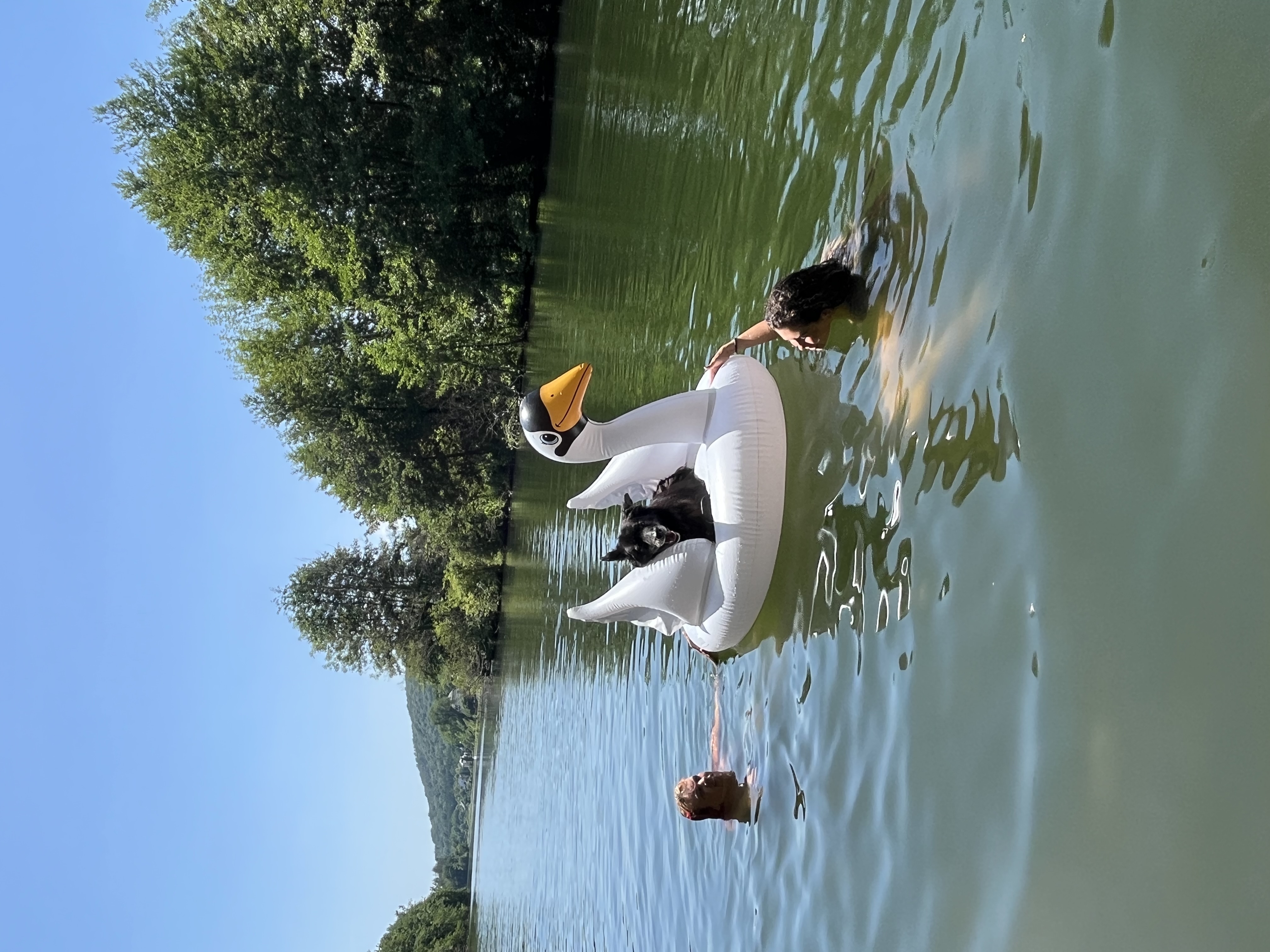 image-10