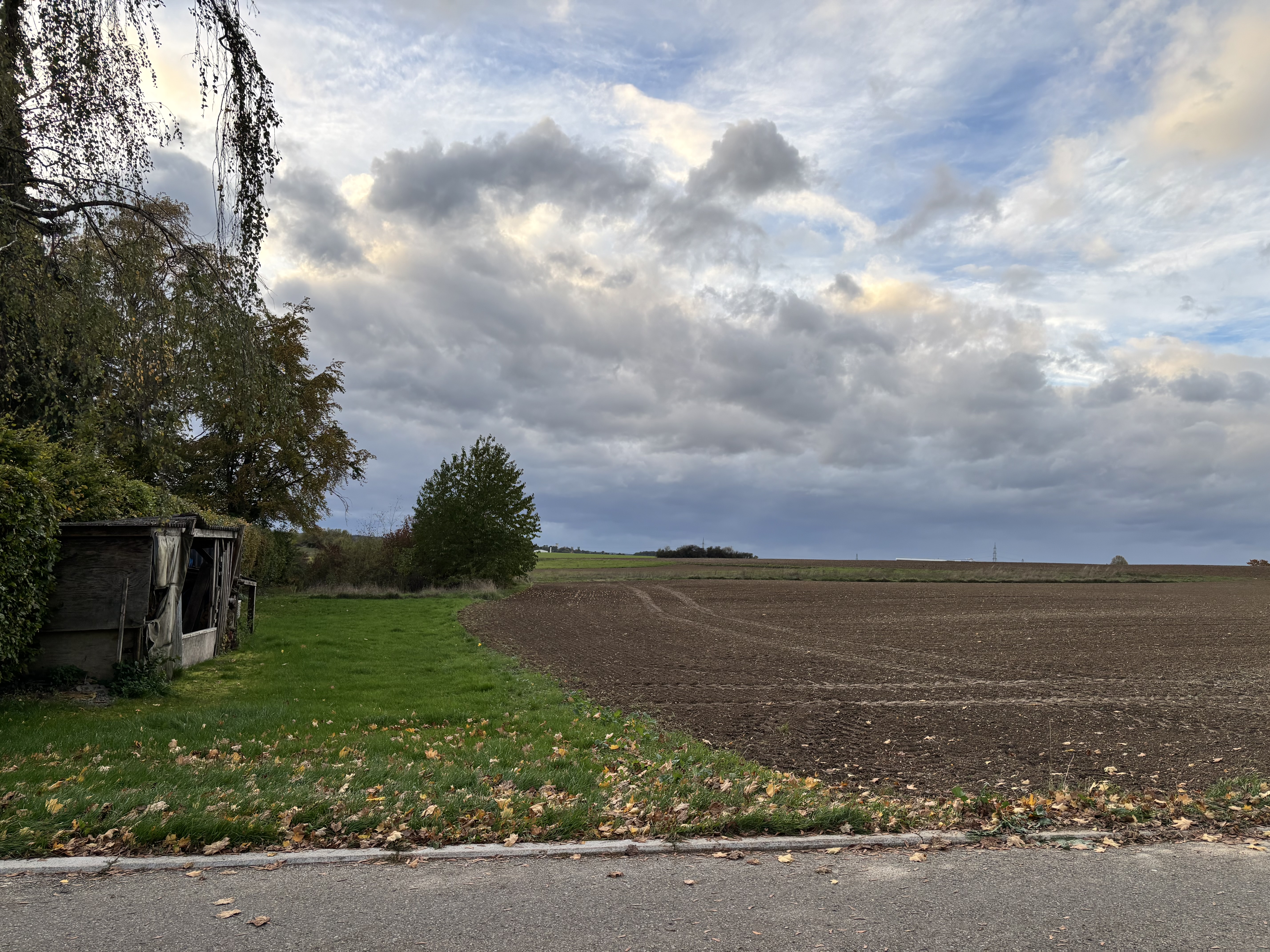 image-18