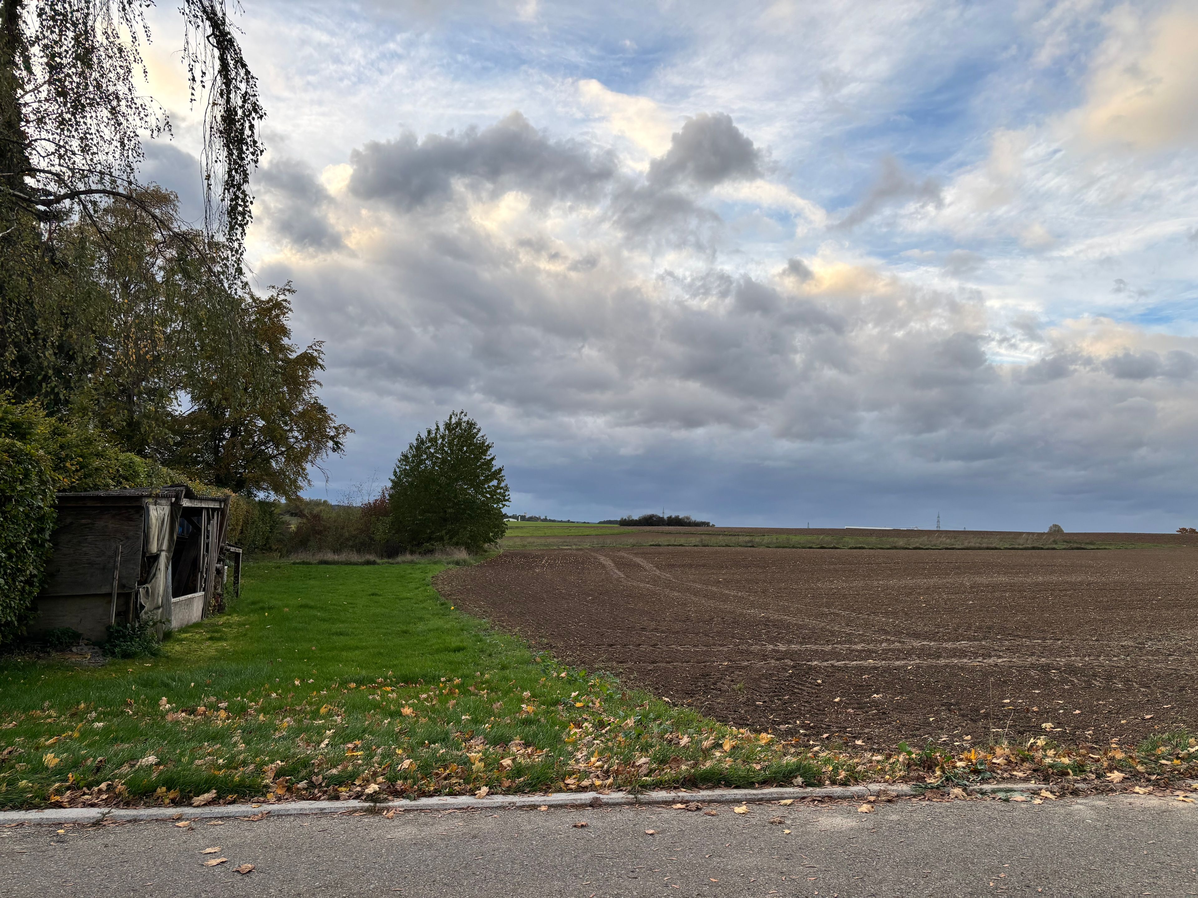 image-18