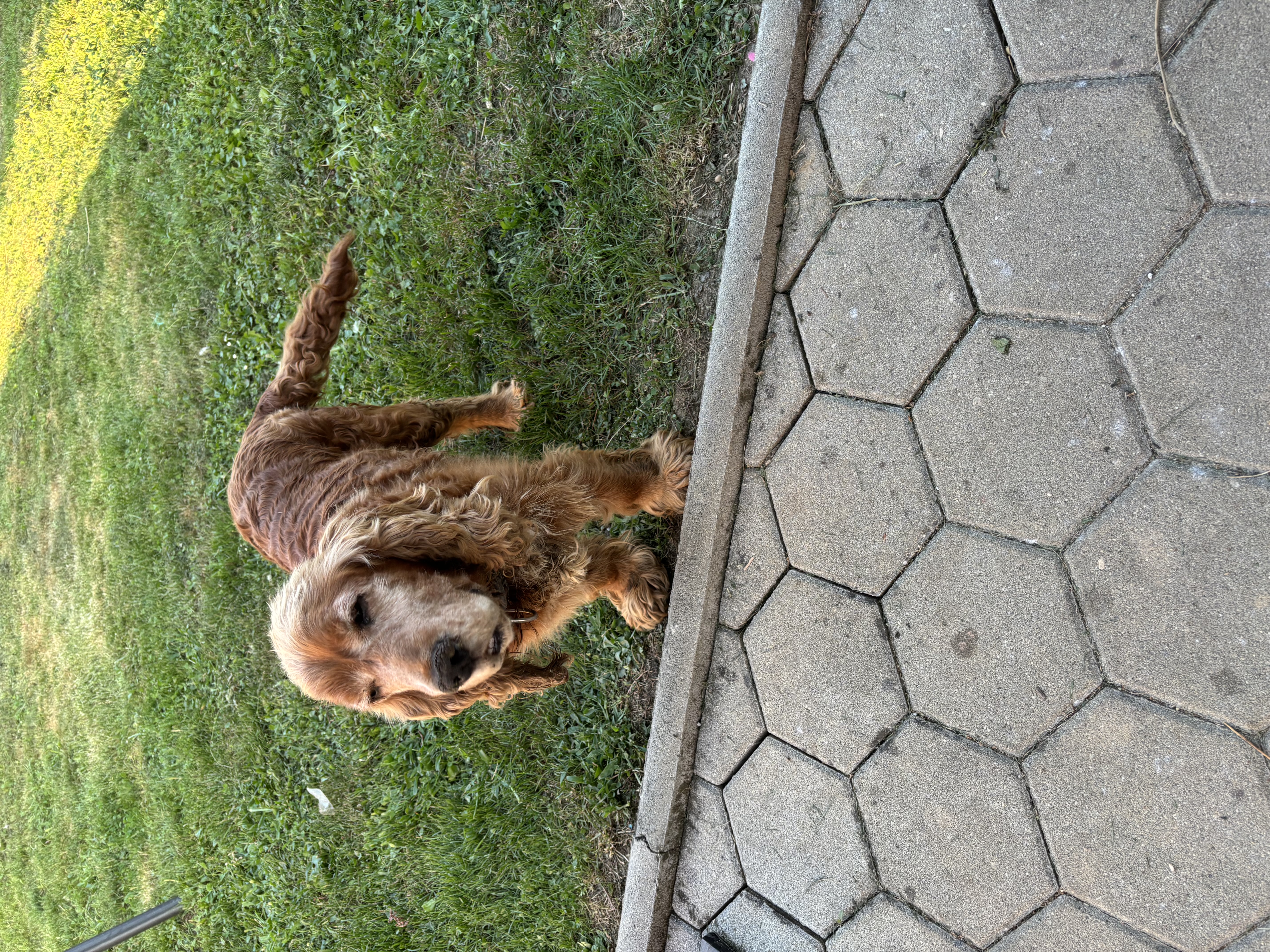 image-5