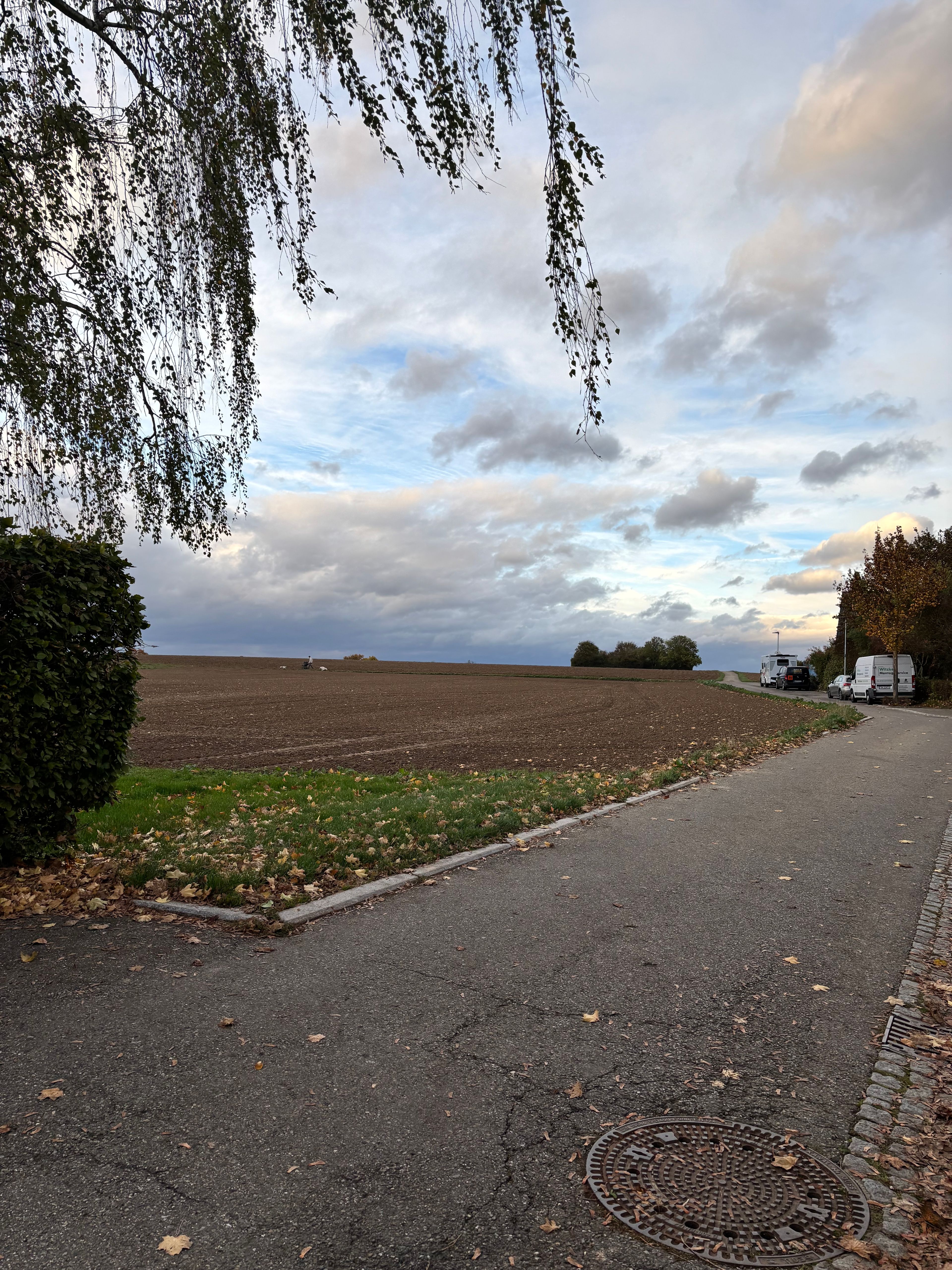 image-17