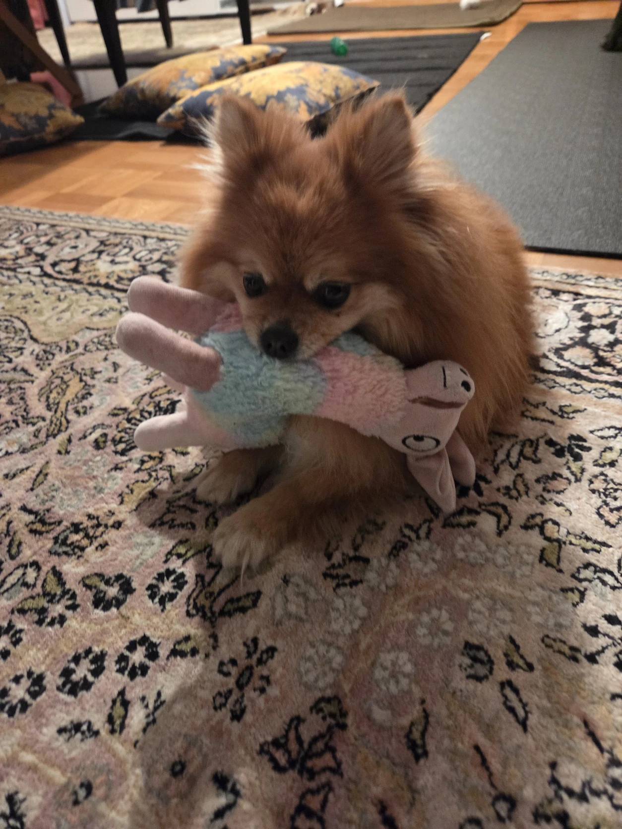 image-11