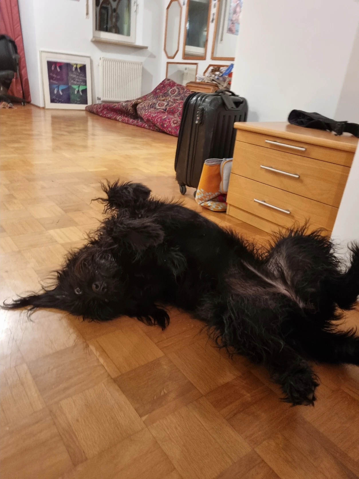 image-7