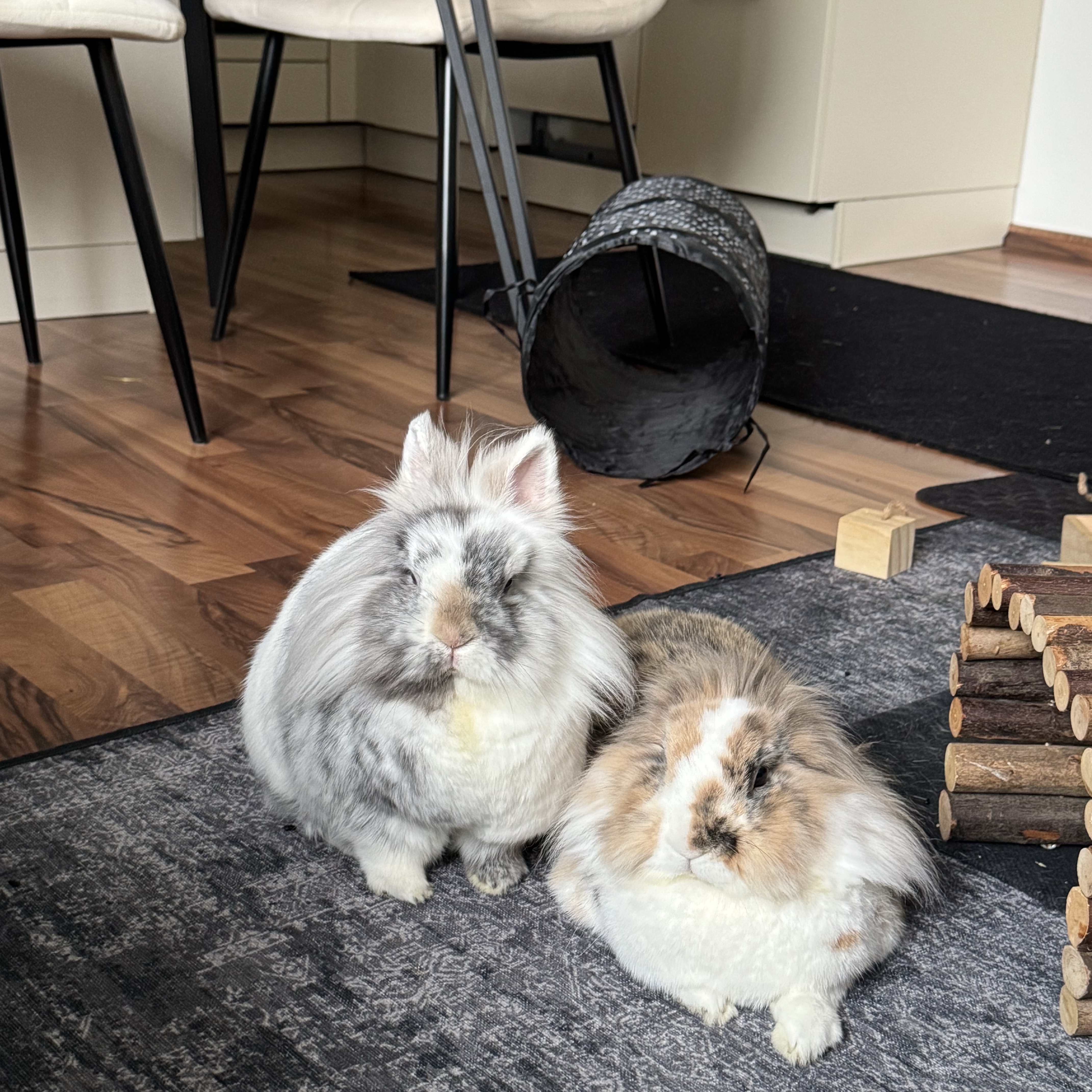 Maja und Muffin