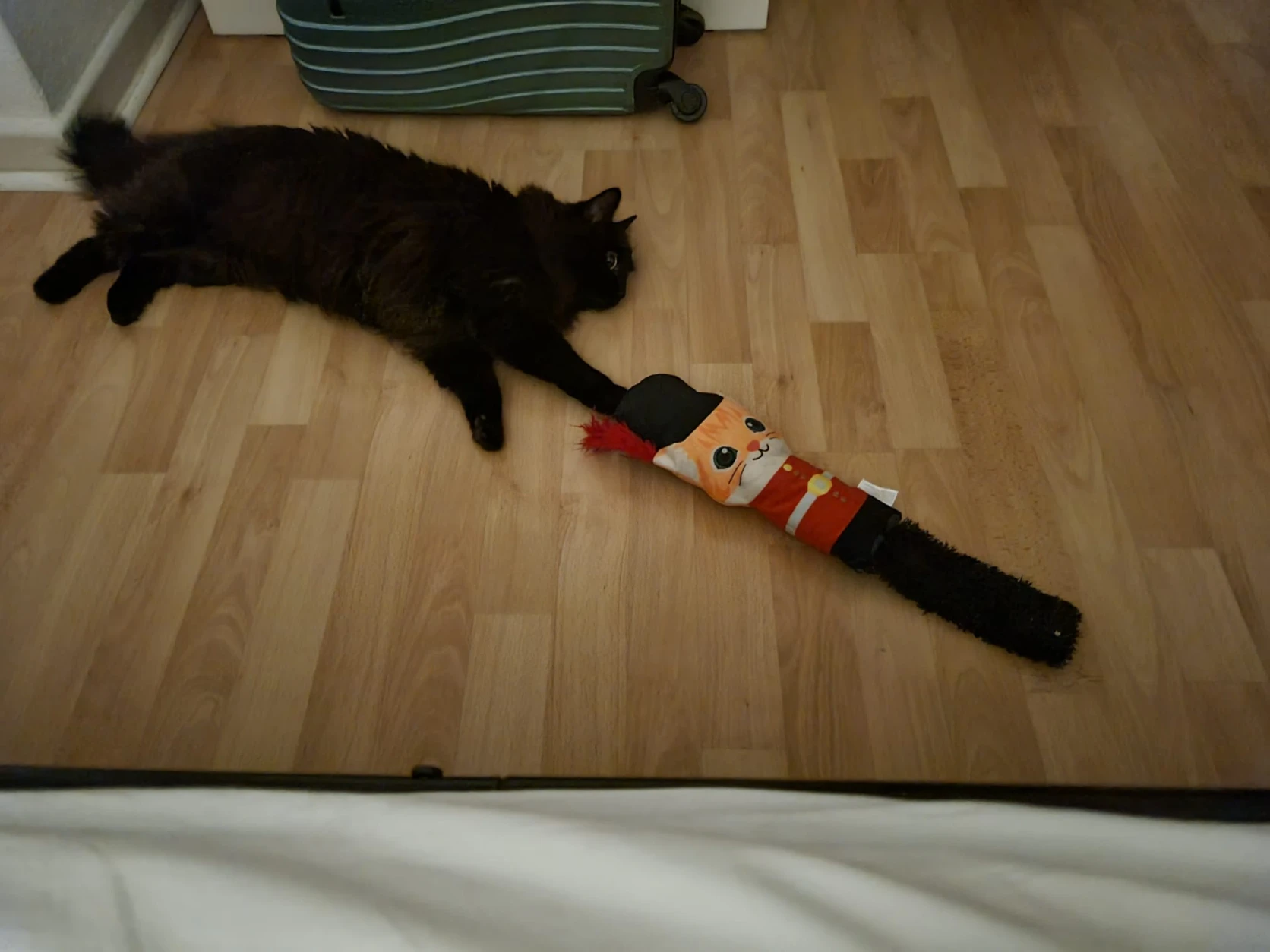 image-19
