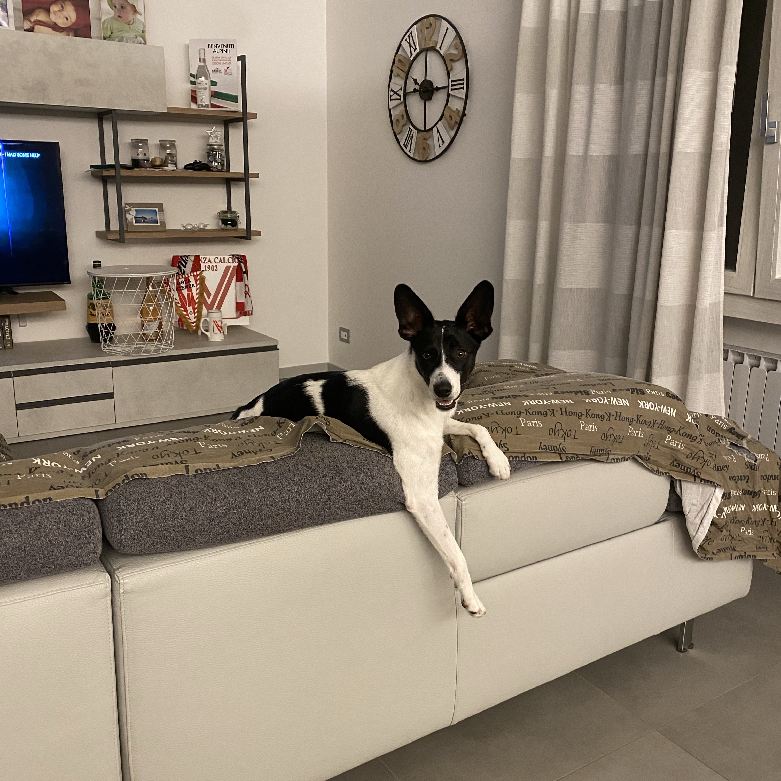 Lola