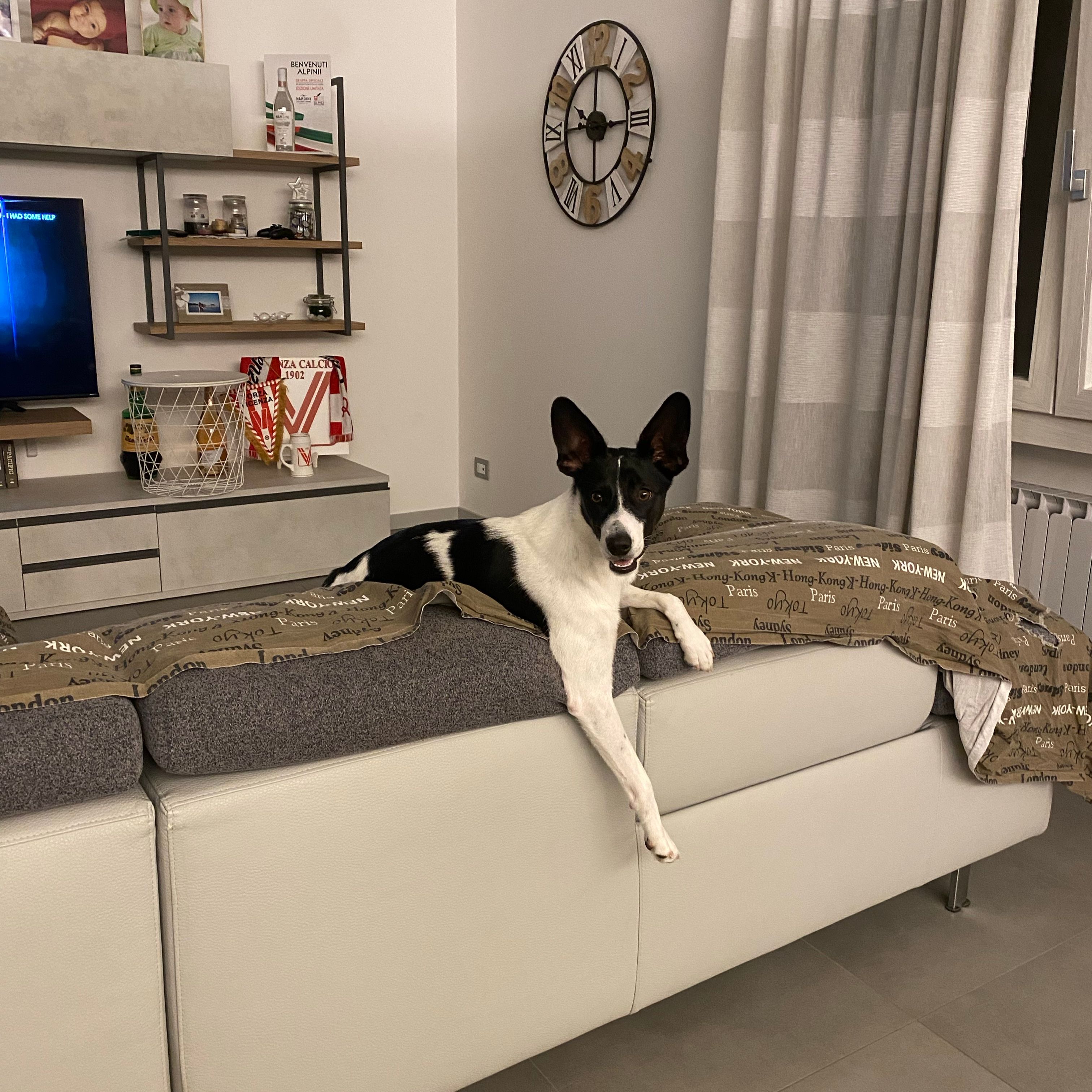 Lola